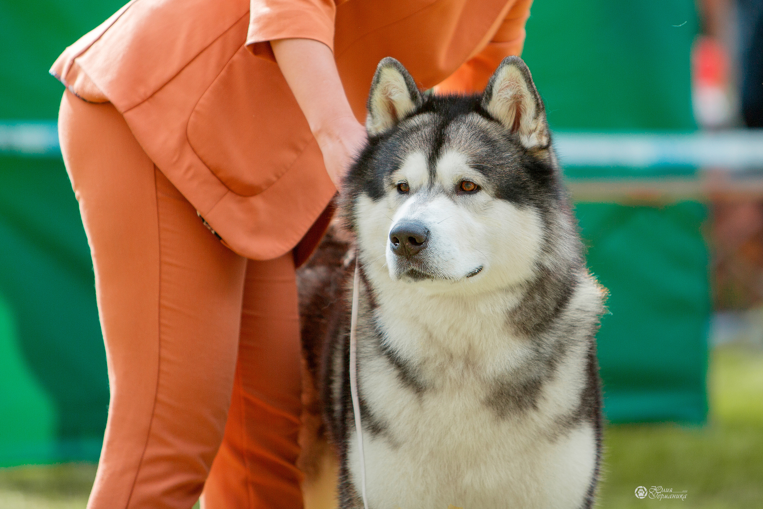 Псков 2xСАСIB 18-19 сентября 2021. Фотограф-анималист Юлия Германика