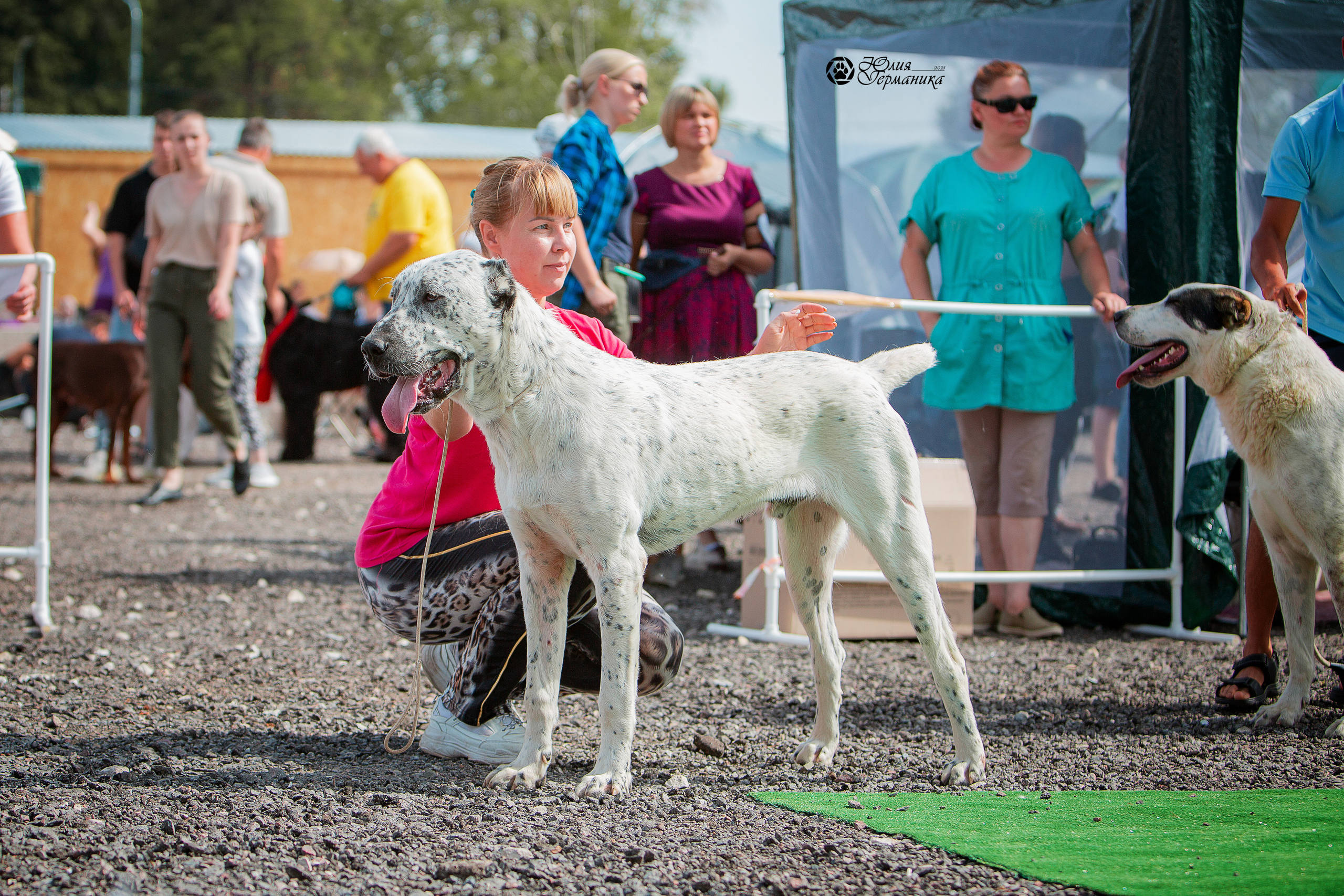 Коломна моно САО 1 августа 2021. Фотограф-анималист Юлия Германика