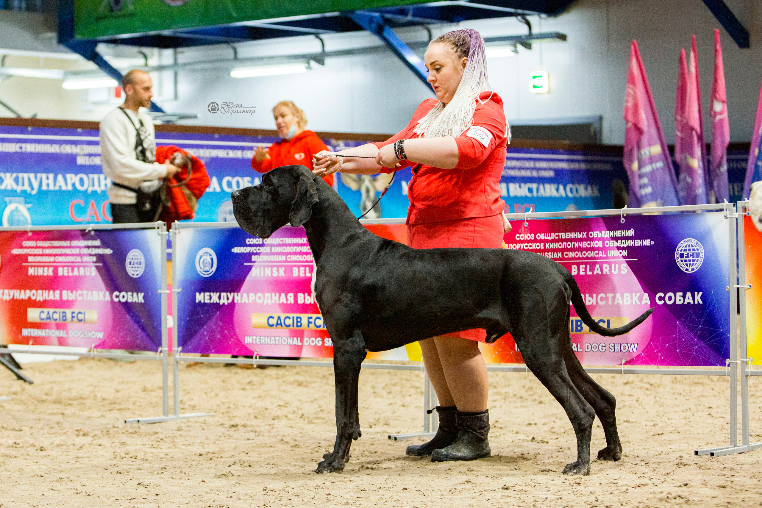 Минск 2хCACIB 27-28 ноября 2021. Фотограф-анималист Юлия Германика