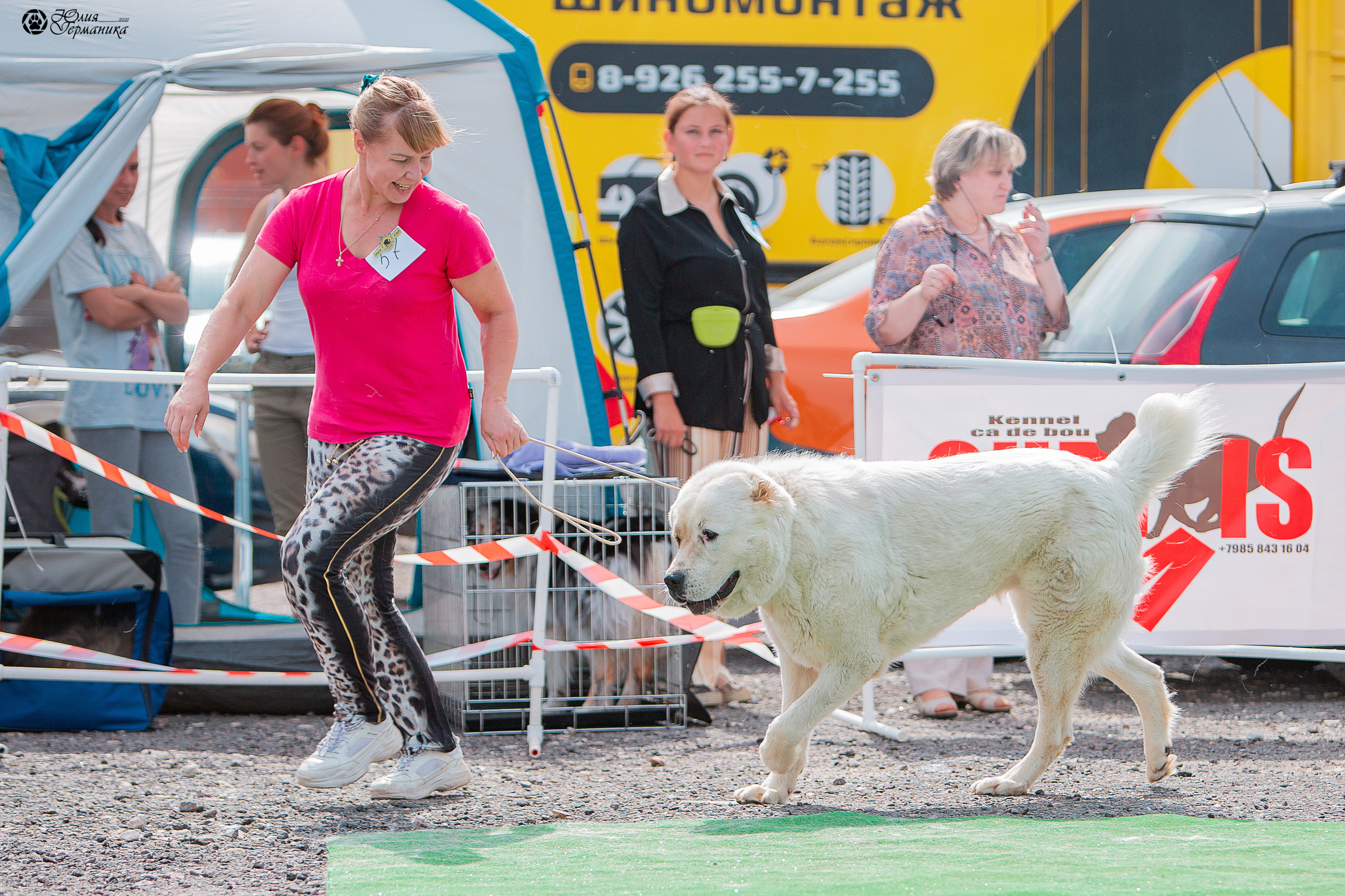 Коломна моно САО 1 августа 2021. Фотограф-анималист Юлия Германика