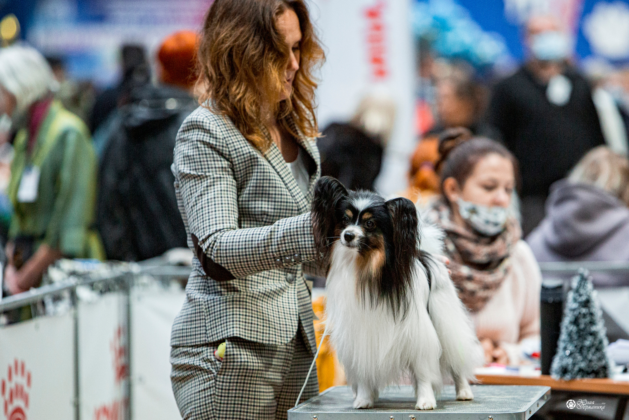 Минск 2хCACIB 27-28 ноября 2021. Фотограф-анималист Юлия Германика