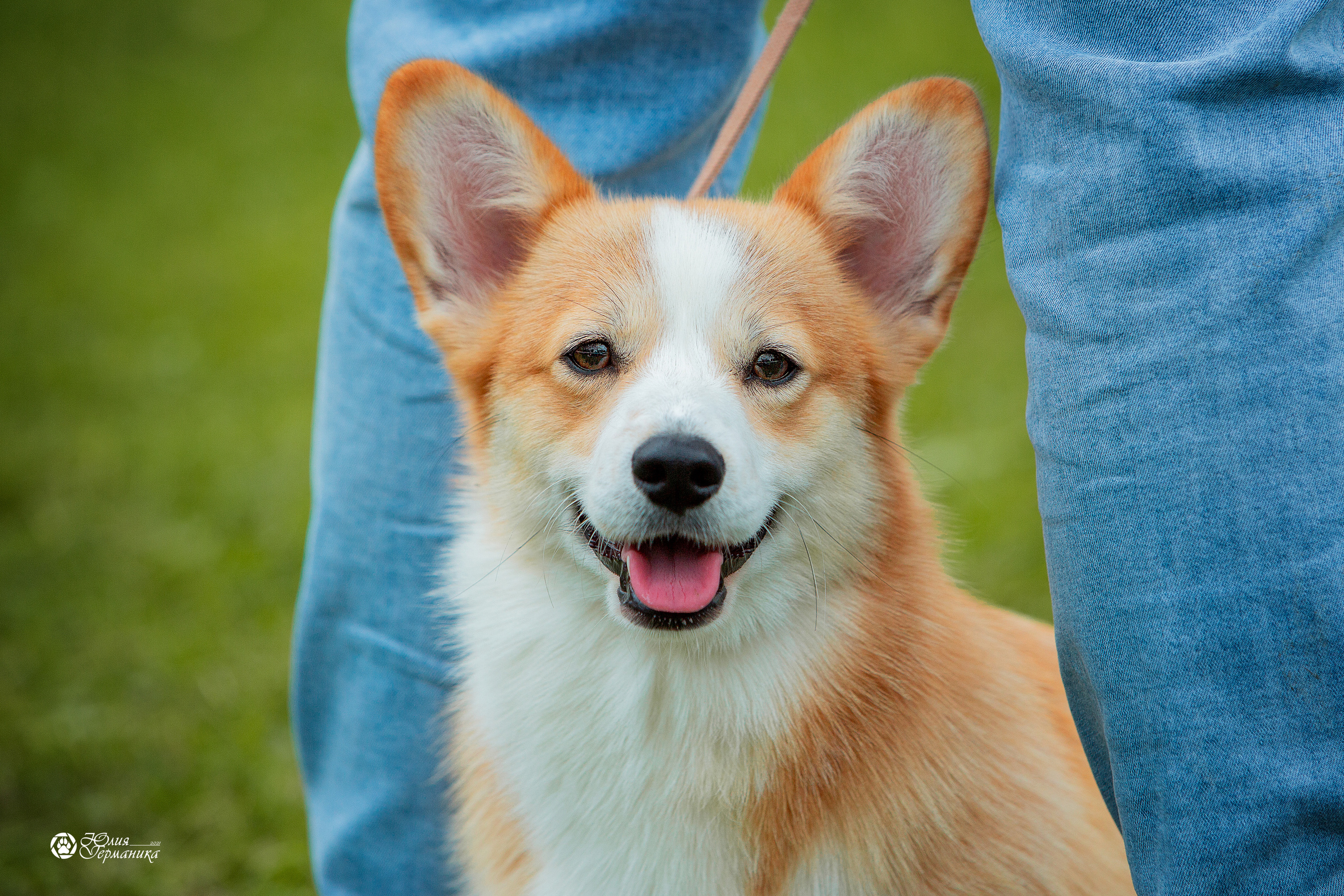 Пушкино 3хCAC 21 августа 2021. Фотограф-анималист Юлия Германика