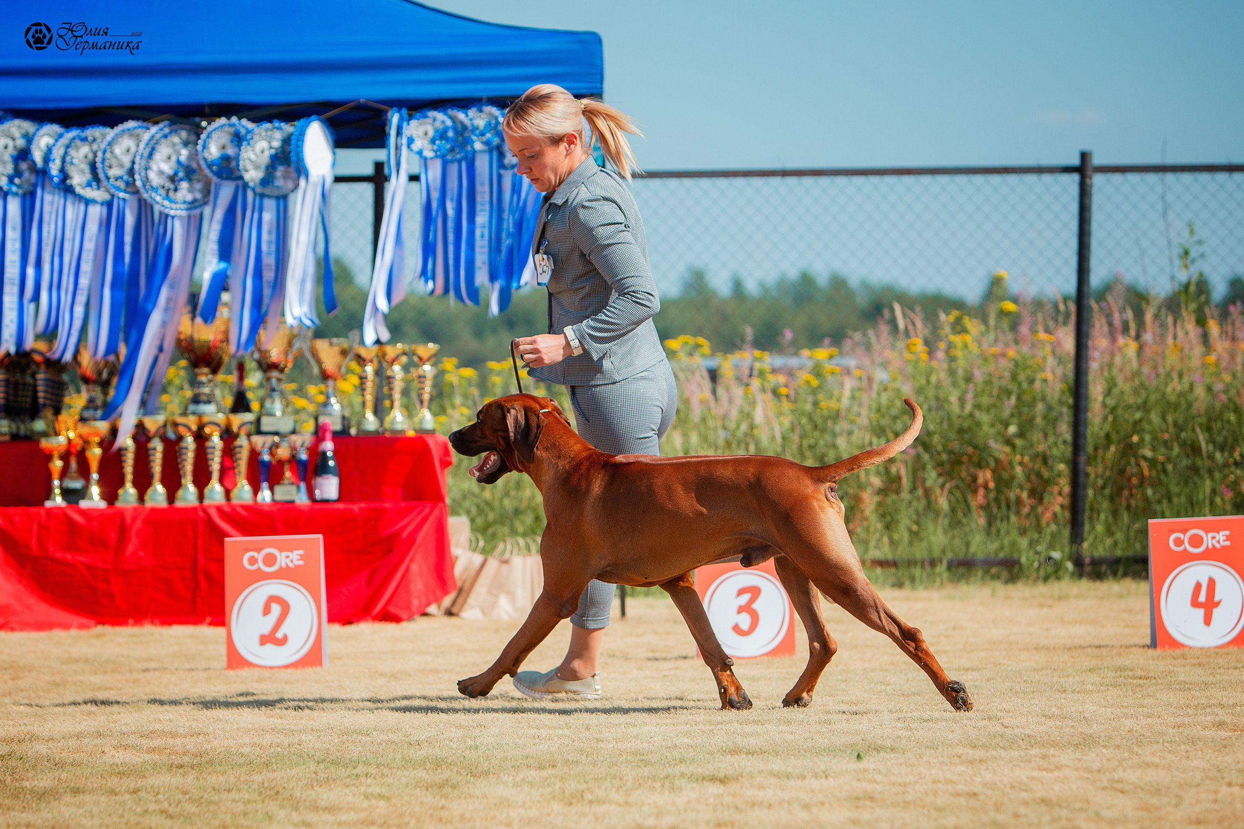 Ярославль CACIB 18 июля 2021. Фотограф-анималист Юлия Германика