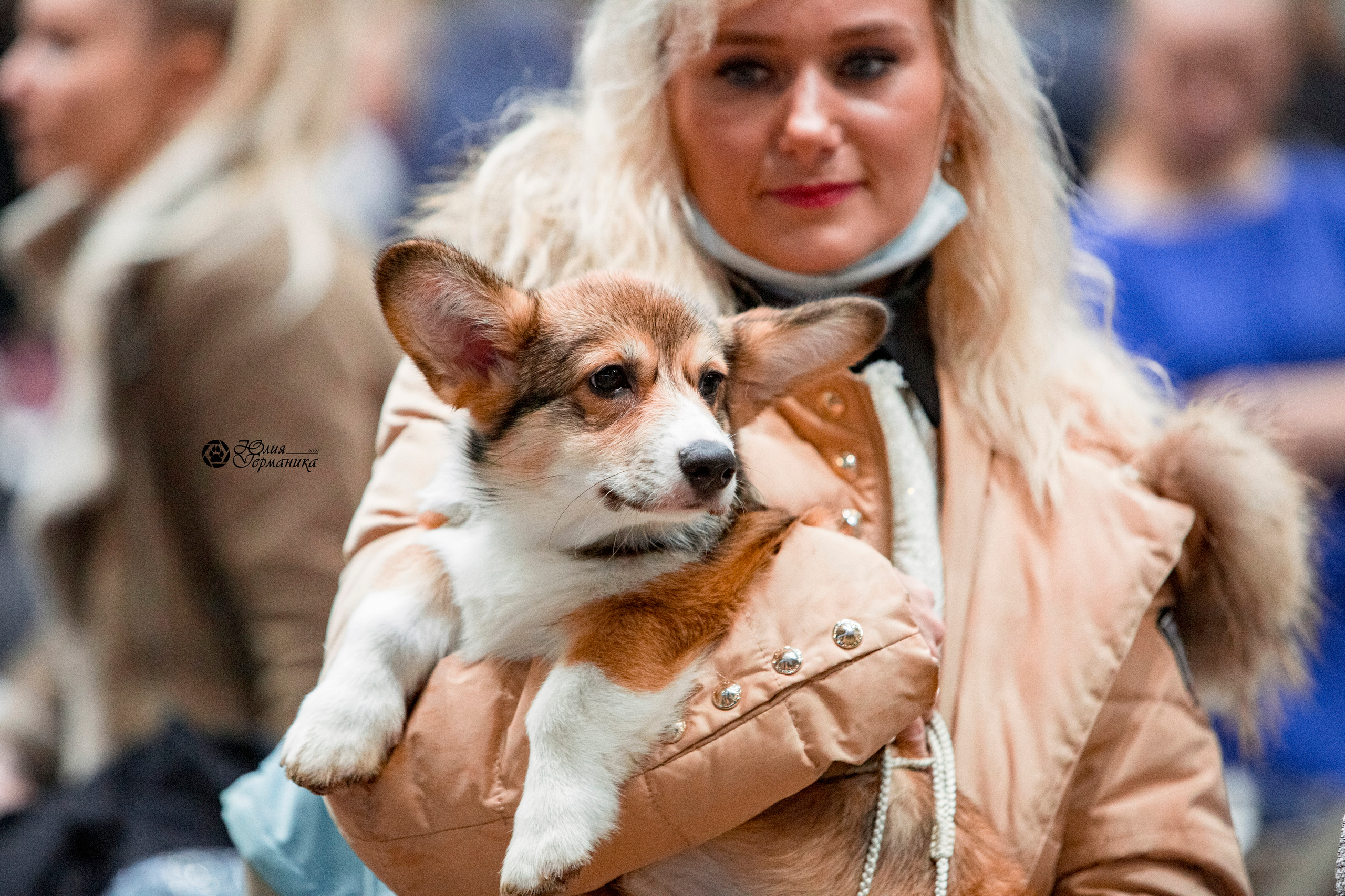 Минск 2хCACIB 27-28 ноября 2021. Фотограф-анималист Юлия Германика