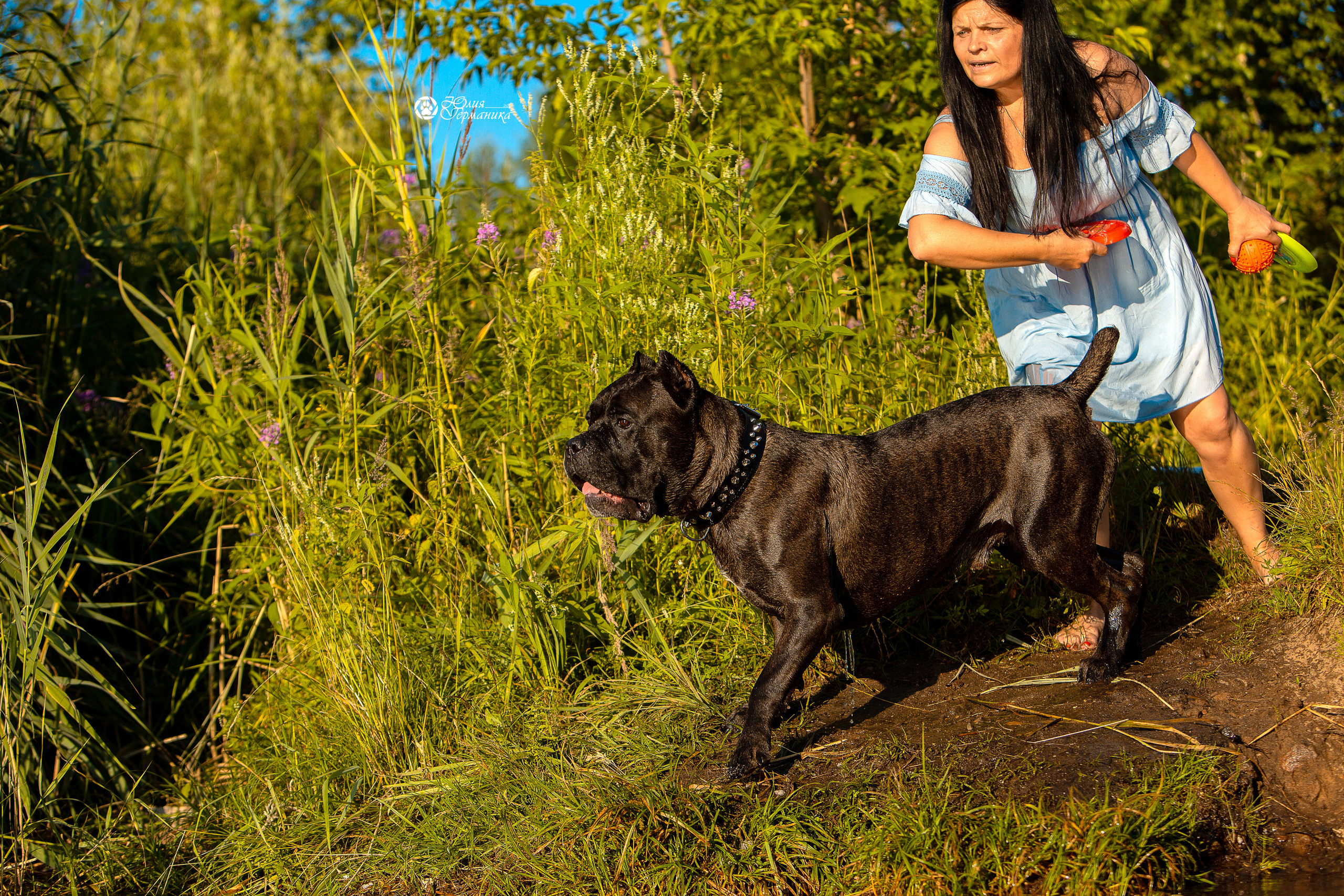 Свободная съемка. Фотограф-анималист Юлия Германика