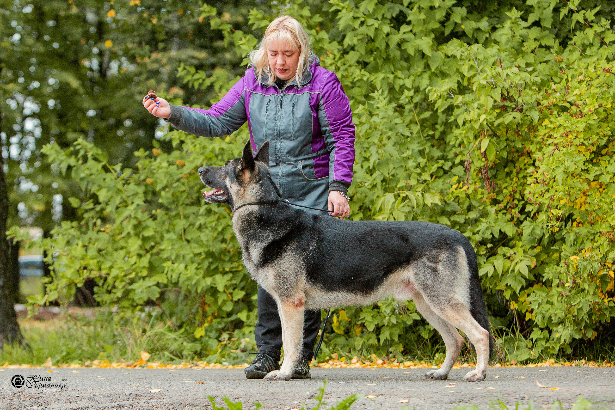 Свободная съемка. Фотограф-анималист Юлия Германика