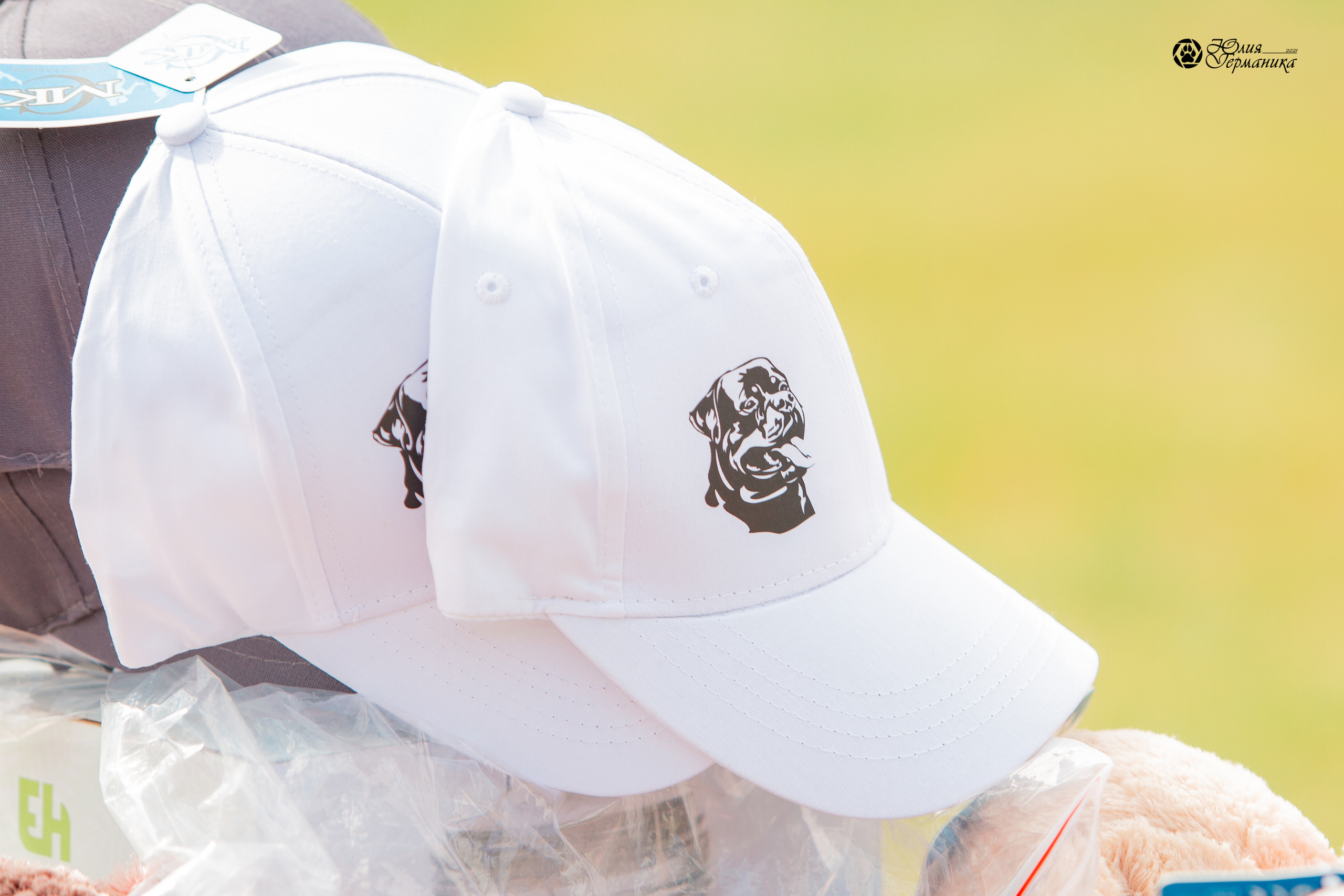 Тверь моно ротвейлеров 3-4 июля 2021. Фотограф-анималист Юлия Германика