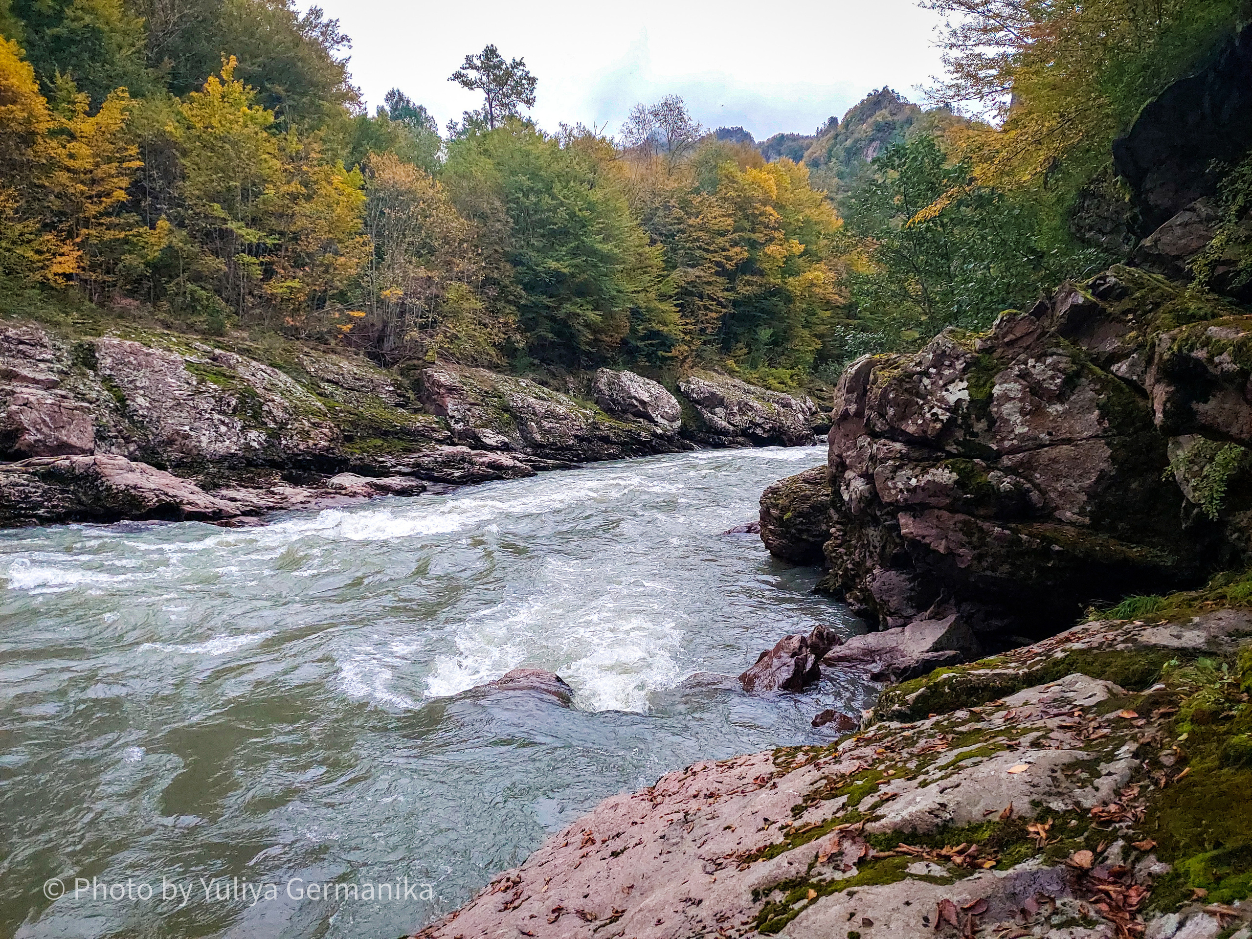 Разные фото на телефон.Города,природа. Фотограф-анималист Юлия Германика