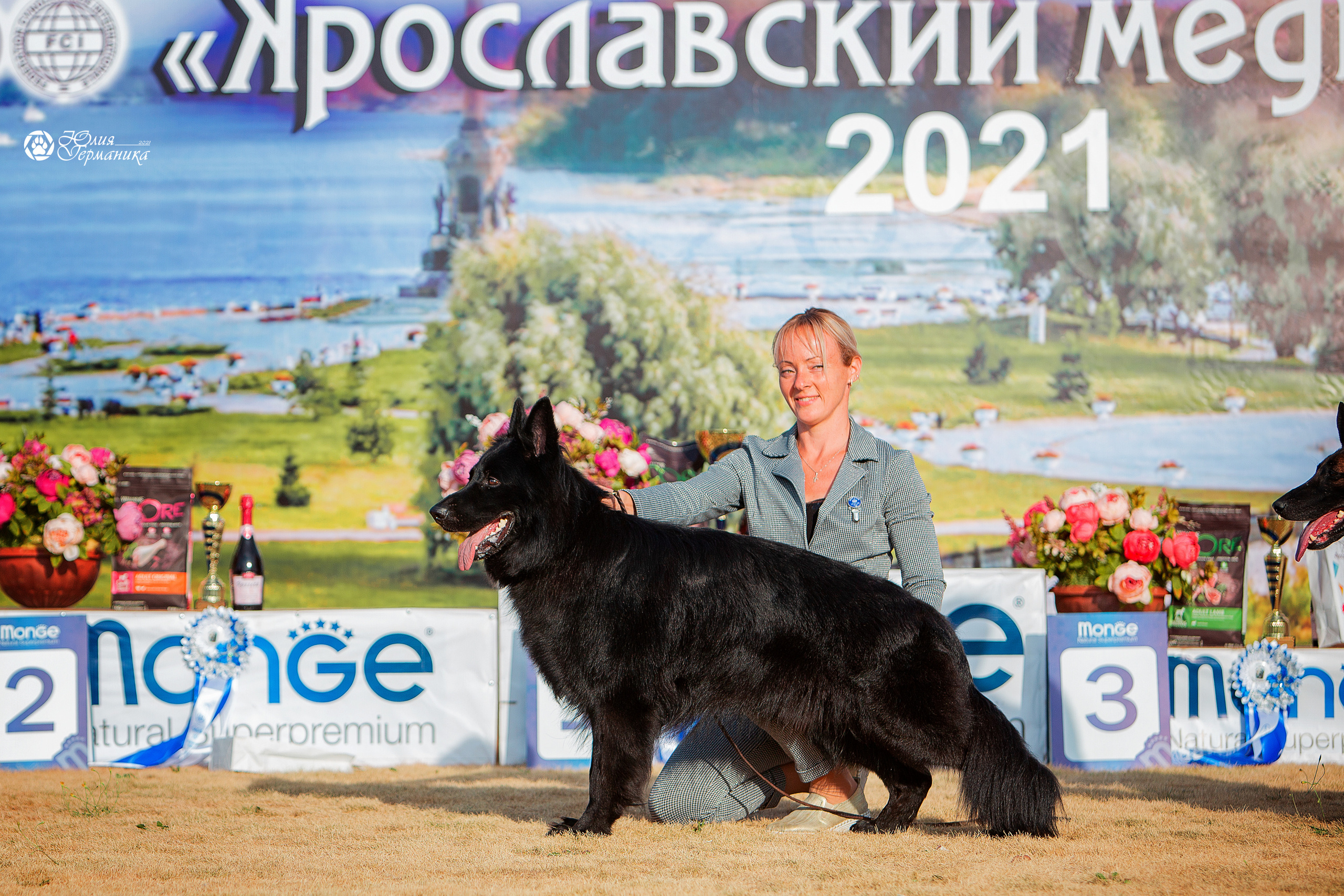 Ярославль CACIB 18 июля 2021. Фотограф-анималист Юлия Германика