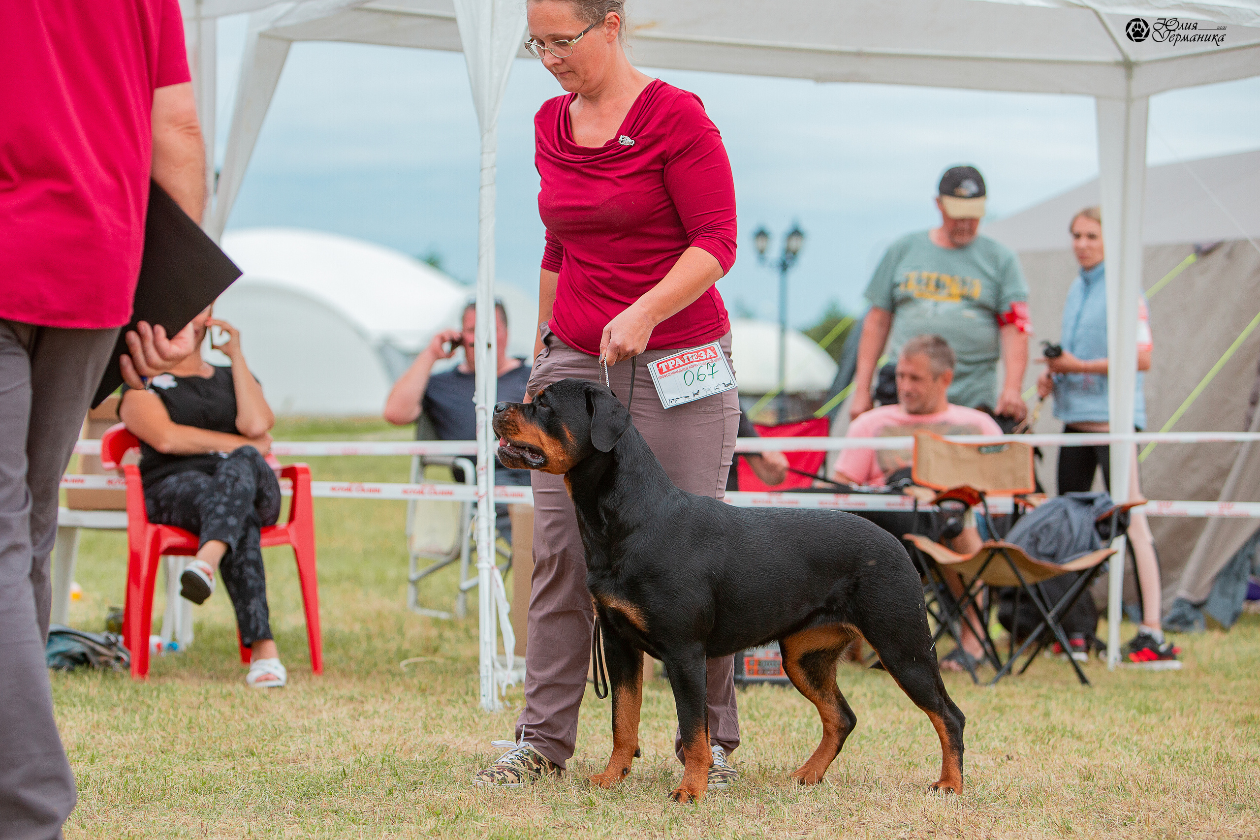 Тверь моно ротвейлеров 3-4 июля 2021. Фотограф-анималист Юлия Германика