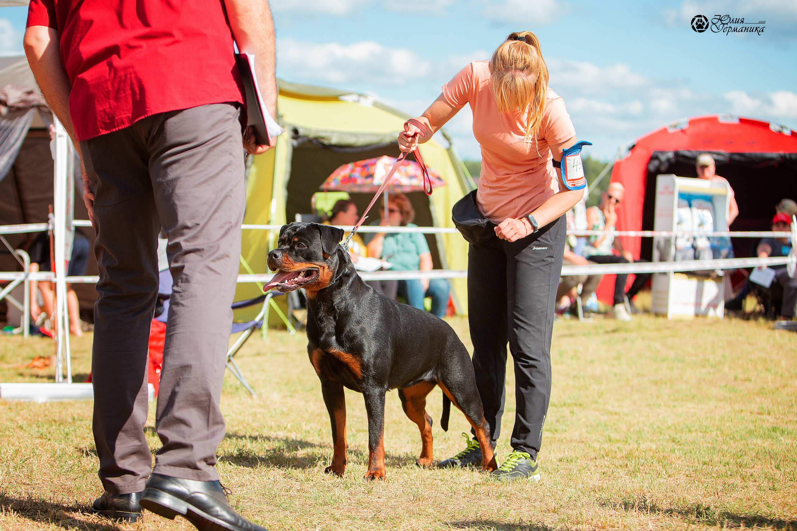 Тверь моно ротвейлеров 3-4 июля 2021. Фотограф-анималист Юлия Германика