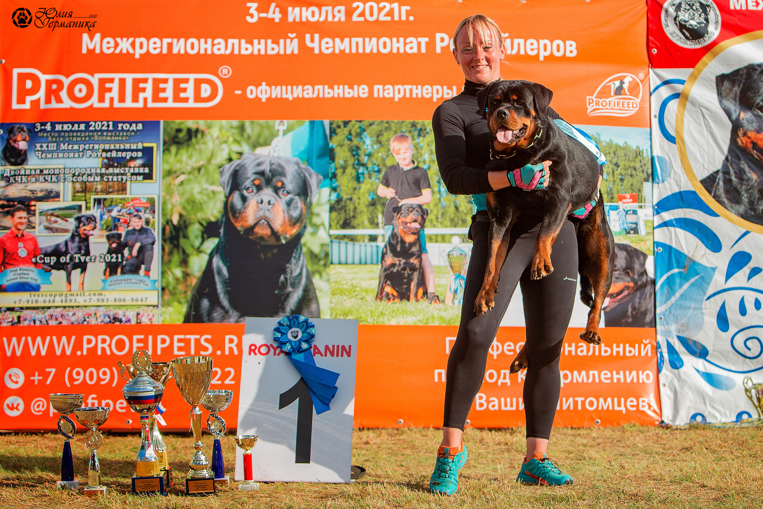 Тверь моно ротвейлеров 3-4 июля 2021. Фотограф-анималист Юлия Германика