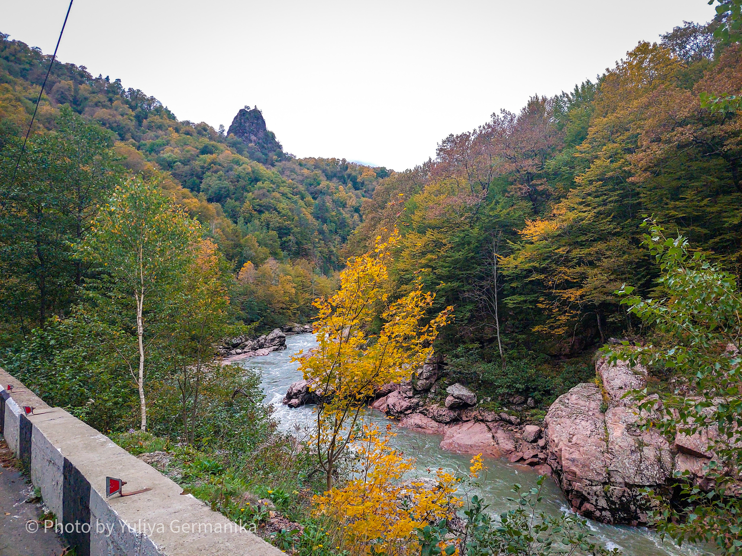 Разные фото на телефон.Города,природа. Фотограф-анималист Юлия Германика