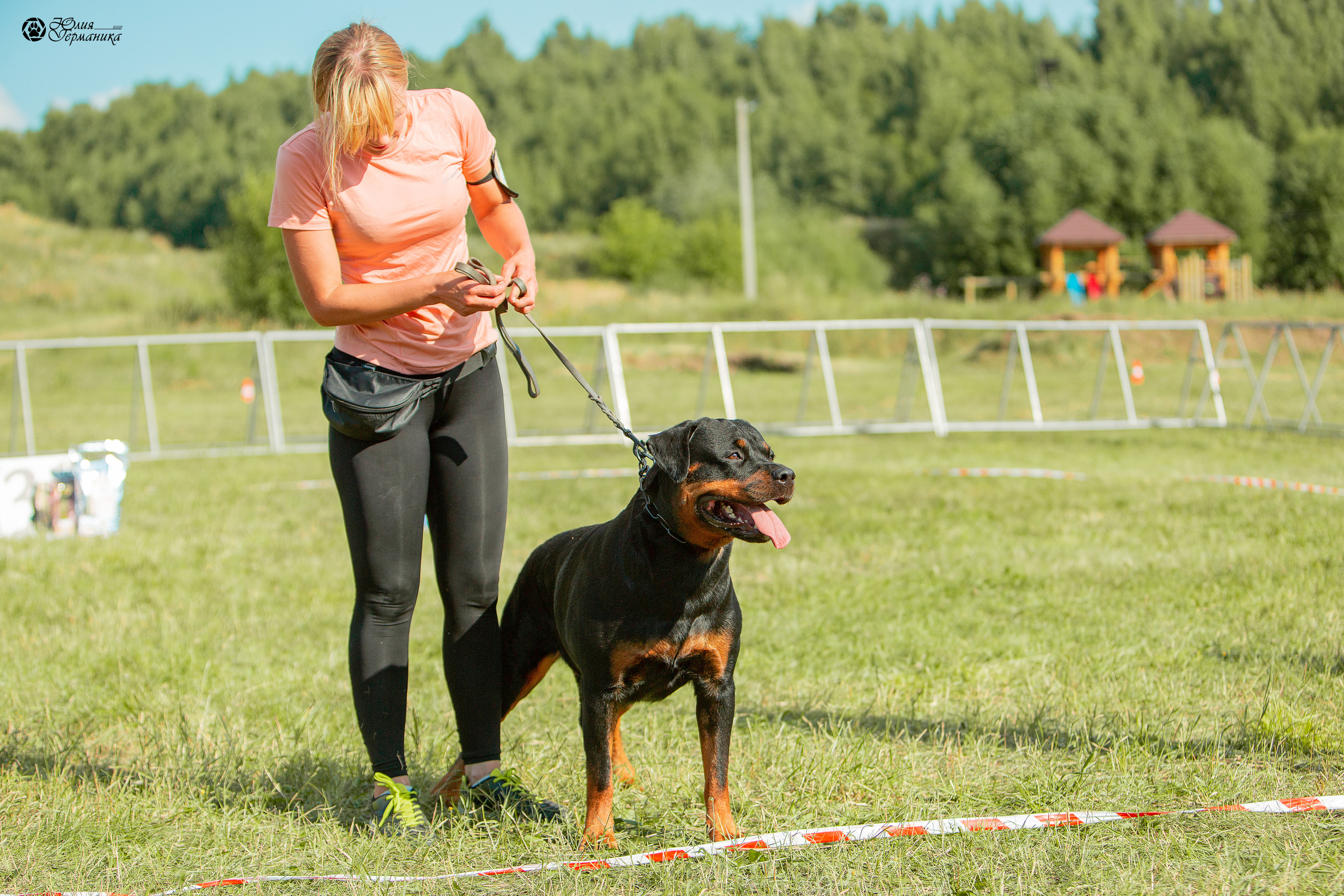 Рязань,Ховрино 14-15 августа 2021 моно ротвейлеров. Фотограф-анималист Юлия Германика