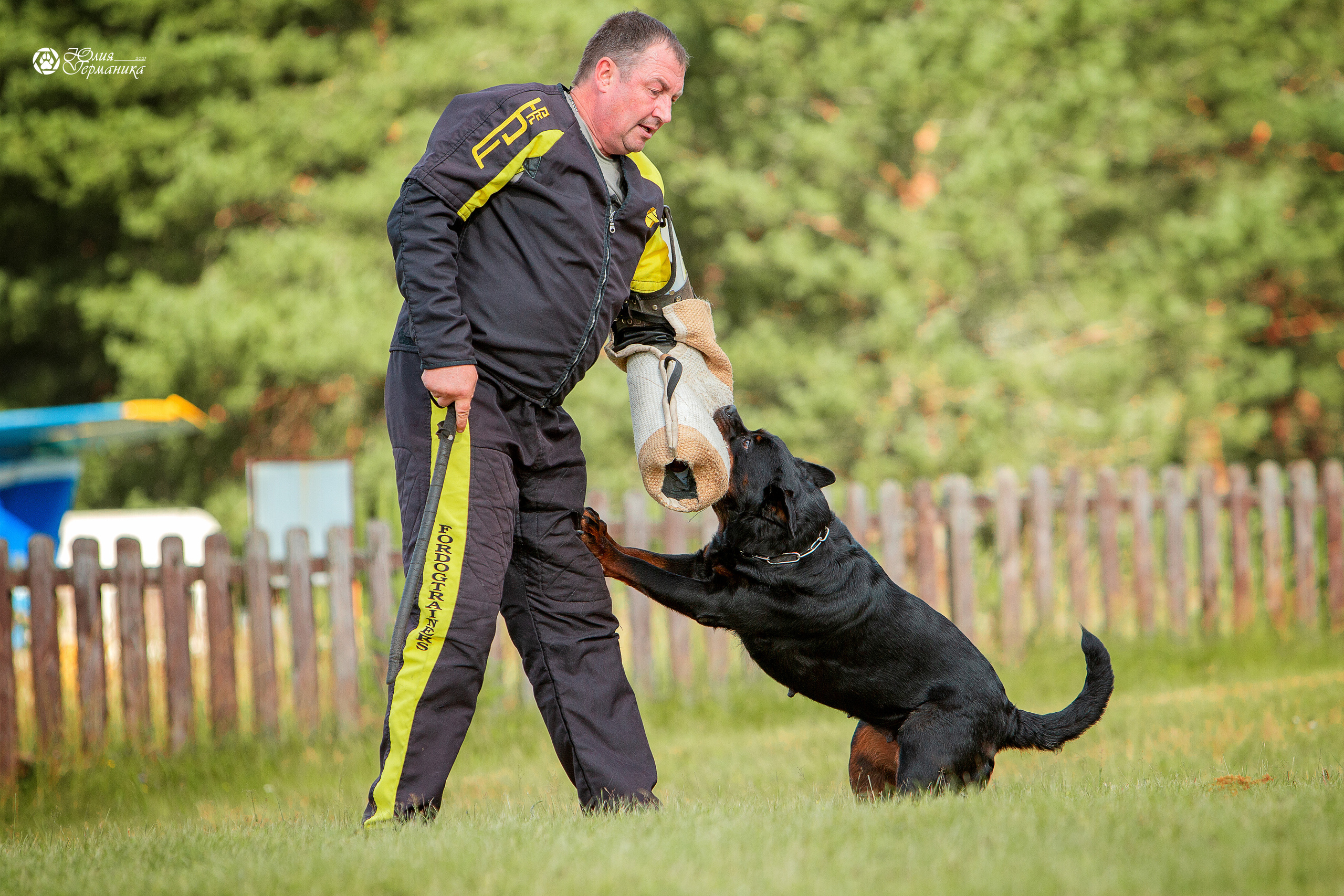 Тверь моно ротвейлеров 3-4 июля 2021. Фотограф-анималист Юлия Германика