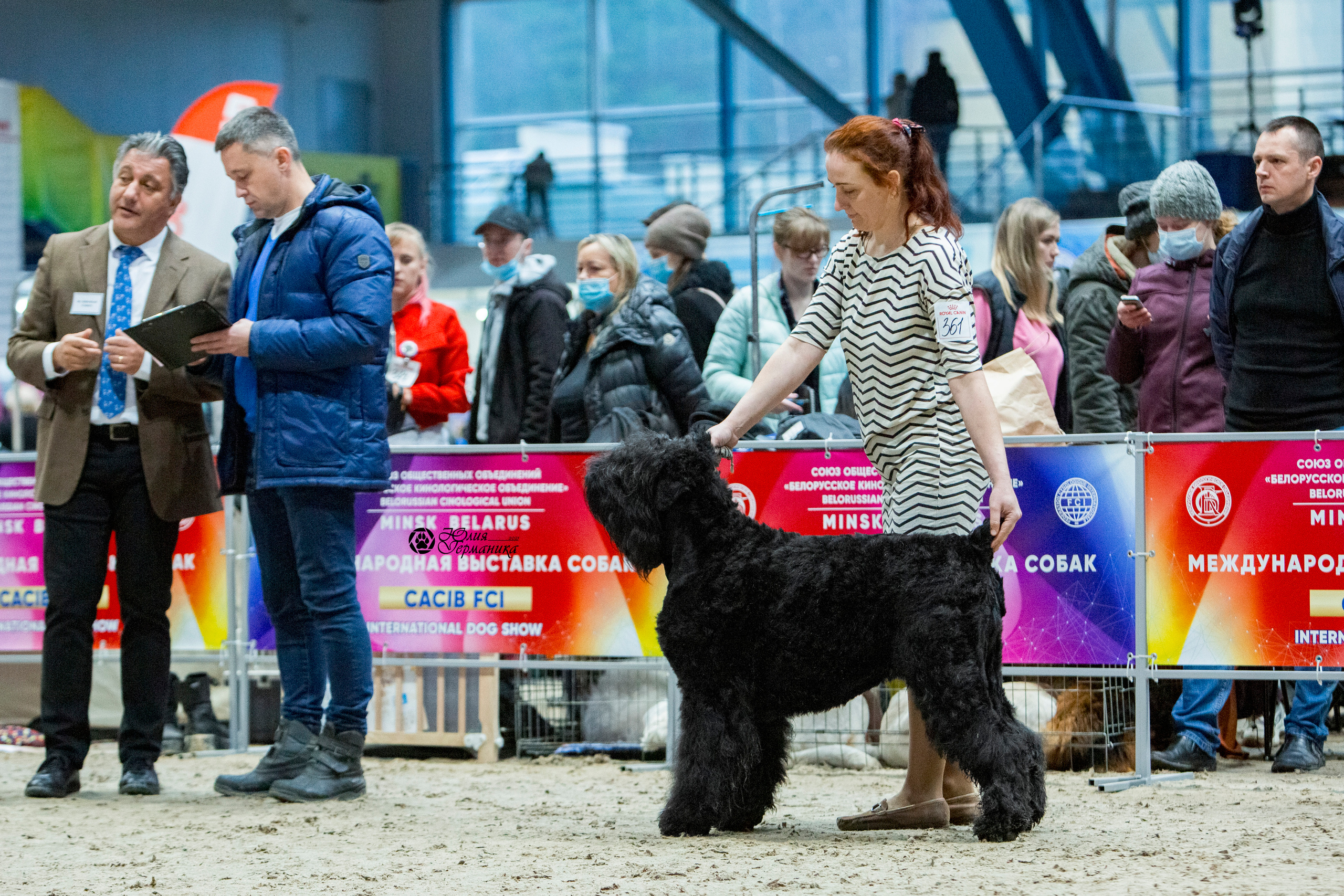 Минск 2хCACIB 27-28 ноября 2021. Фотограф-анималист Юлия Германика