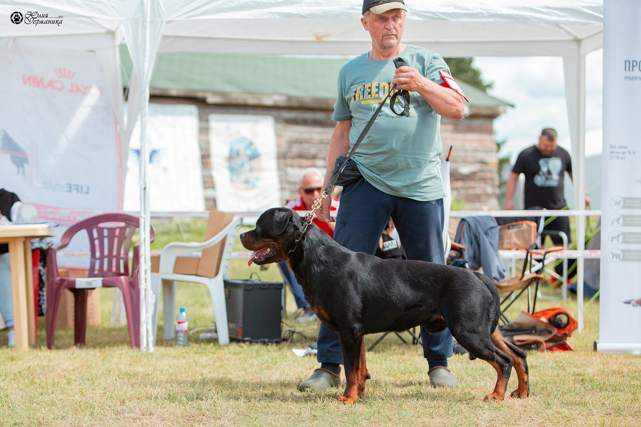 Тверь моно ротвейлеров 3-4 июля 2021. Фотограф-анималист Юлия Германика
