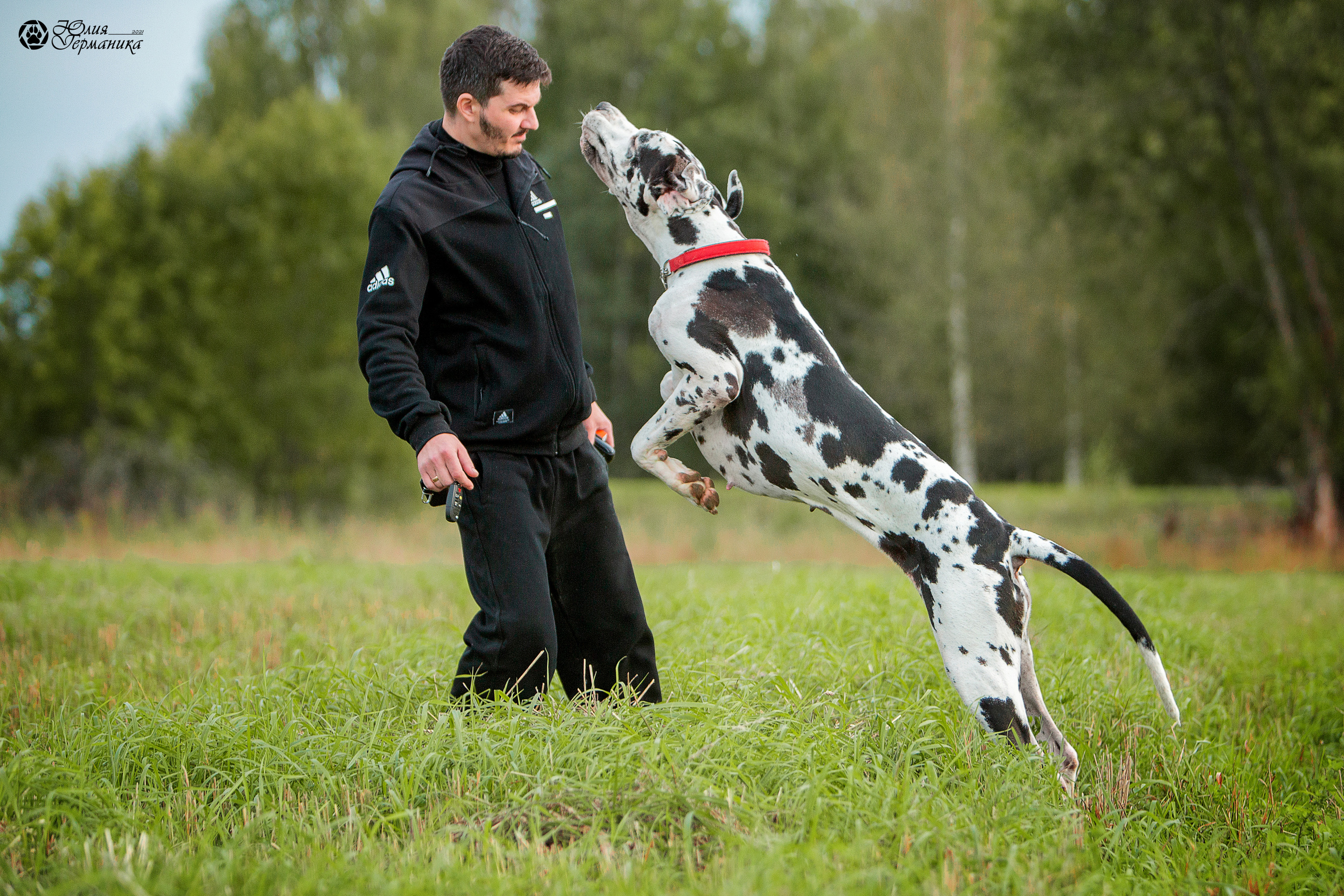 Свободная съемка. Фотограф-анималист Юлия Германика
