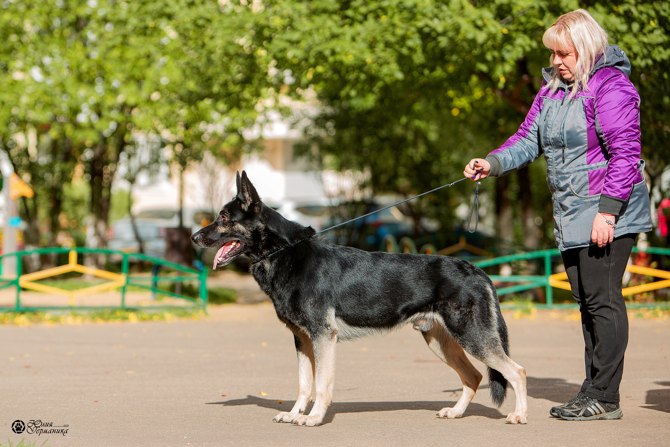 Свободная съемка. Фотограф-анималист Юлия Германика