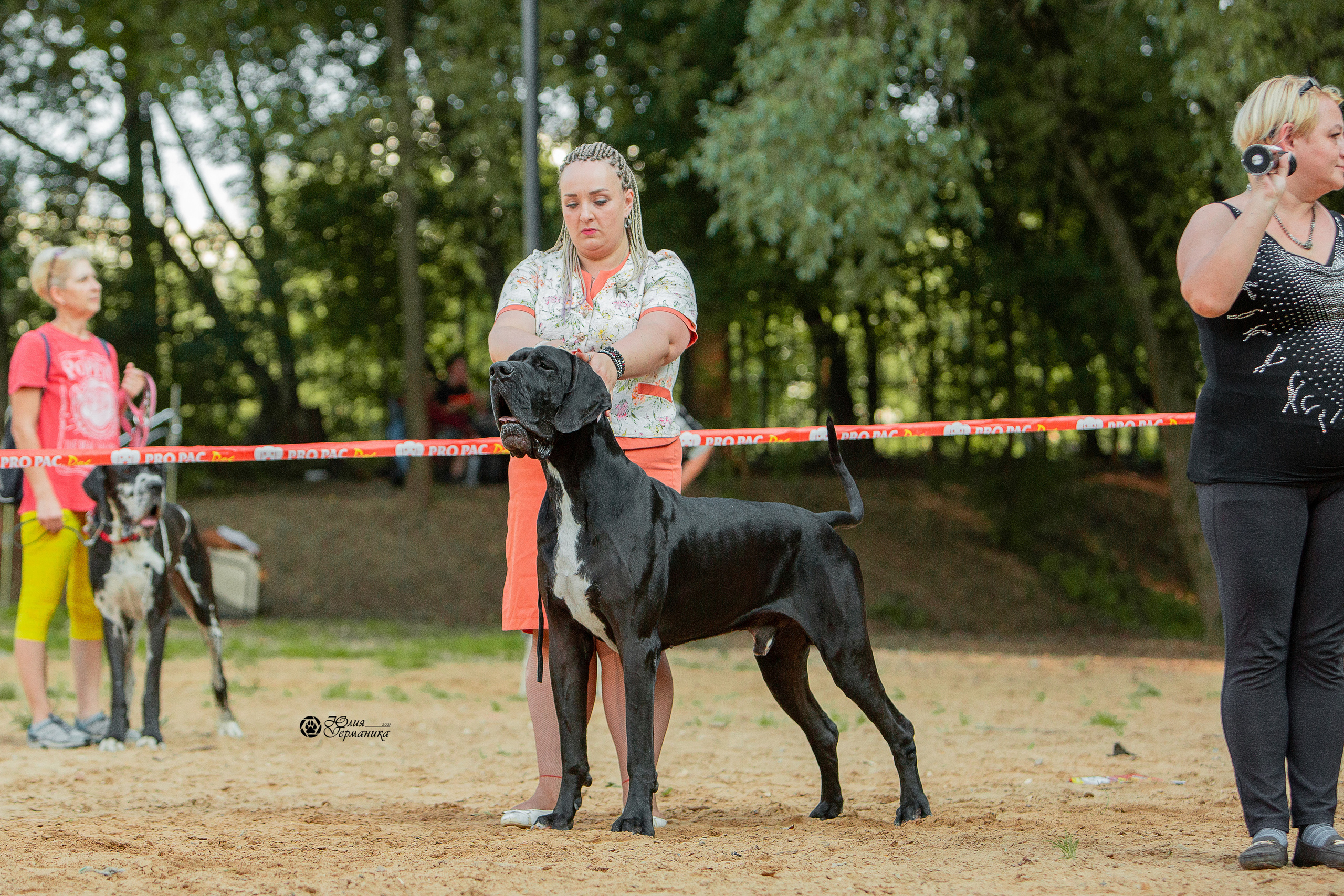 Ховрино фестиваль монопородок 15 августа 2021. Фотограф-анималист Юлия Германика