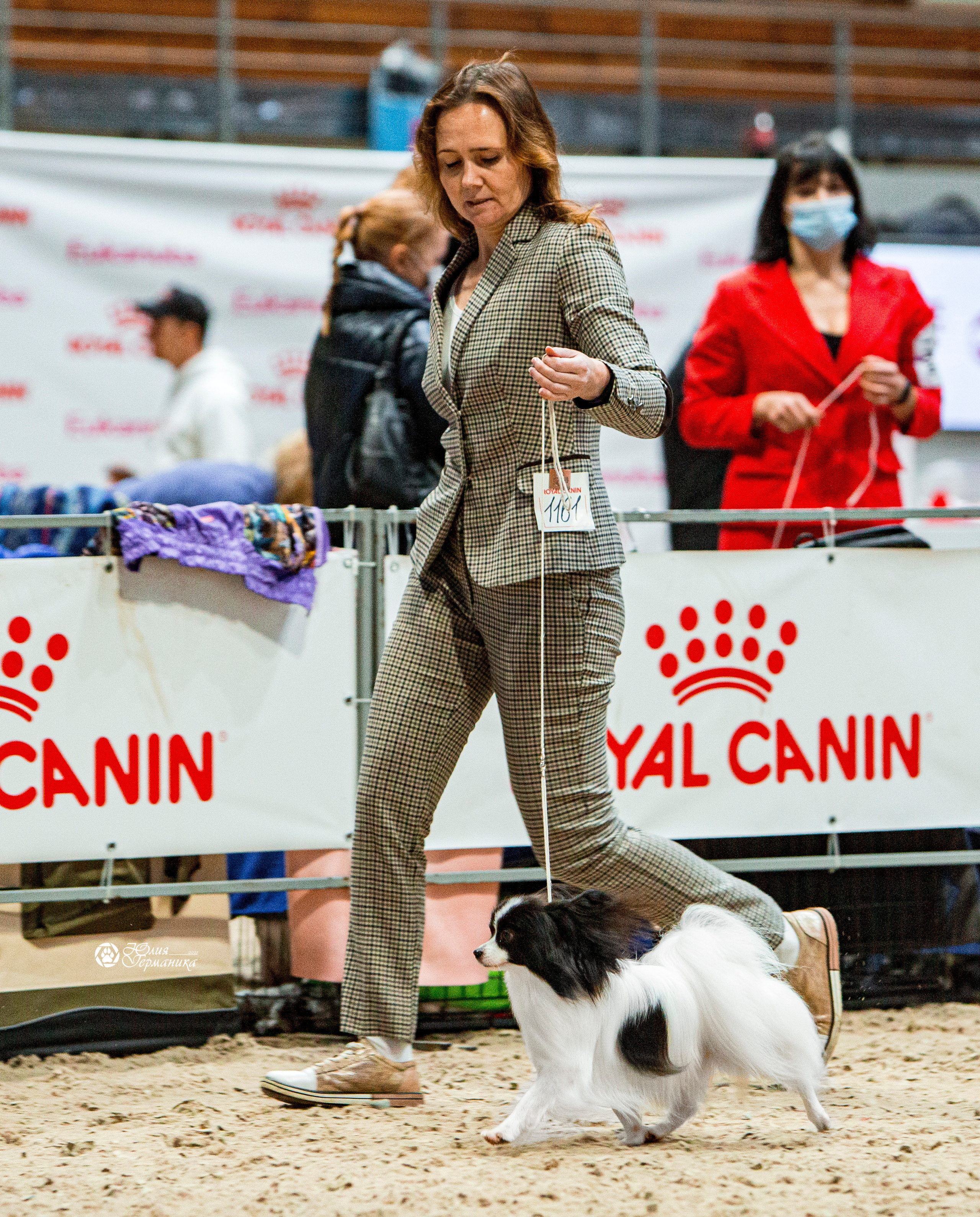 Минск 2хCACIB 27-28 ноября 2021. Фотограф-анималист Юлия Германика