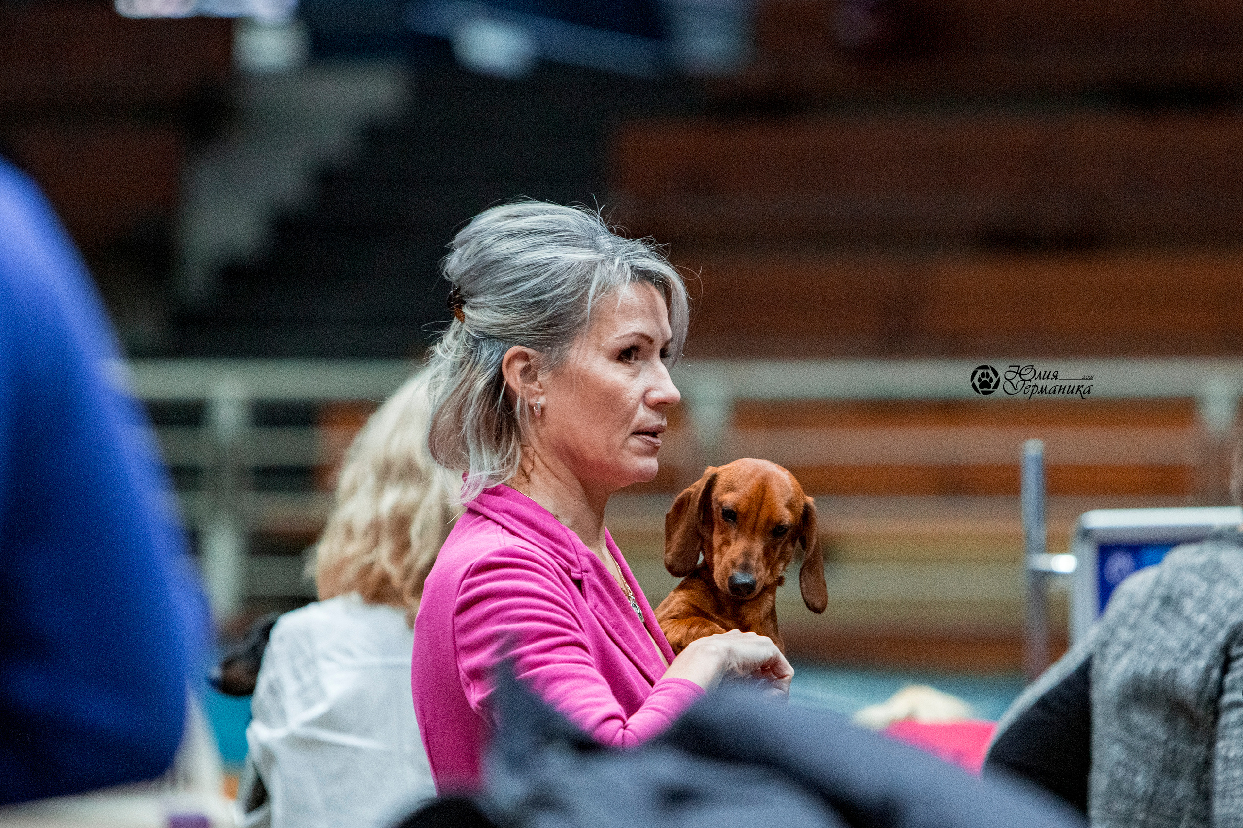 Минск 2хCACIB 27-28 ноября 2021. Фотограф-анималист Юлия Германика