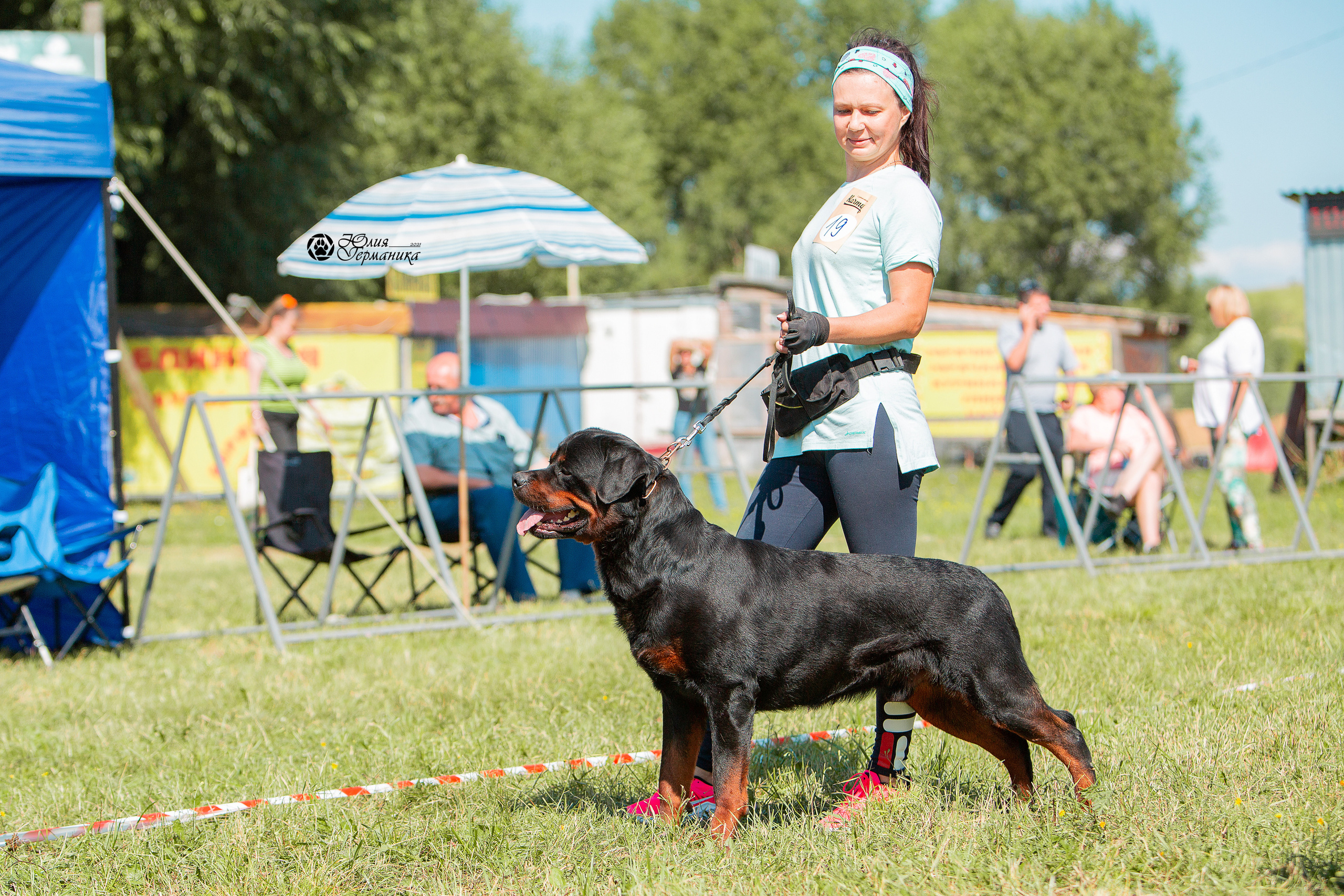 Рязань,Ховрино 14-15 августа 2021 моно ротвейлеров. Фотограф-анималист Юлия Германика