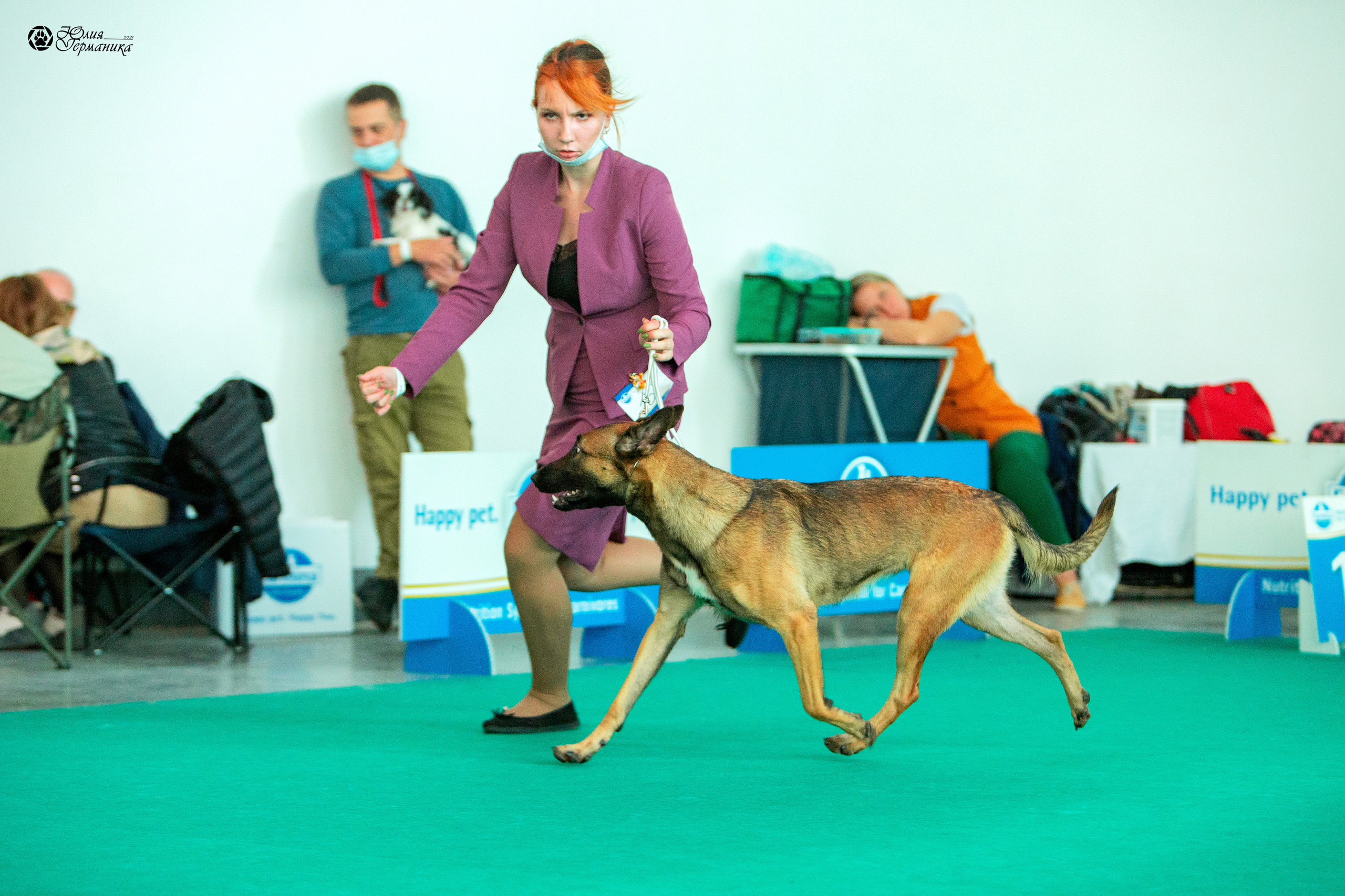 Нижний Новгород 3хCACIB 15-17 октября 2021. Фотограф-анималист Юлия Германика