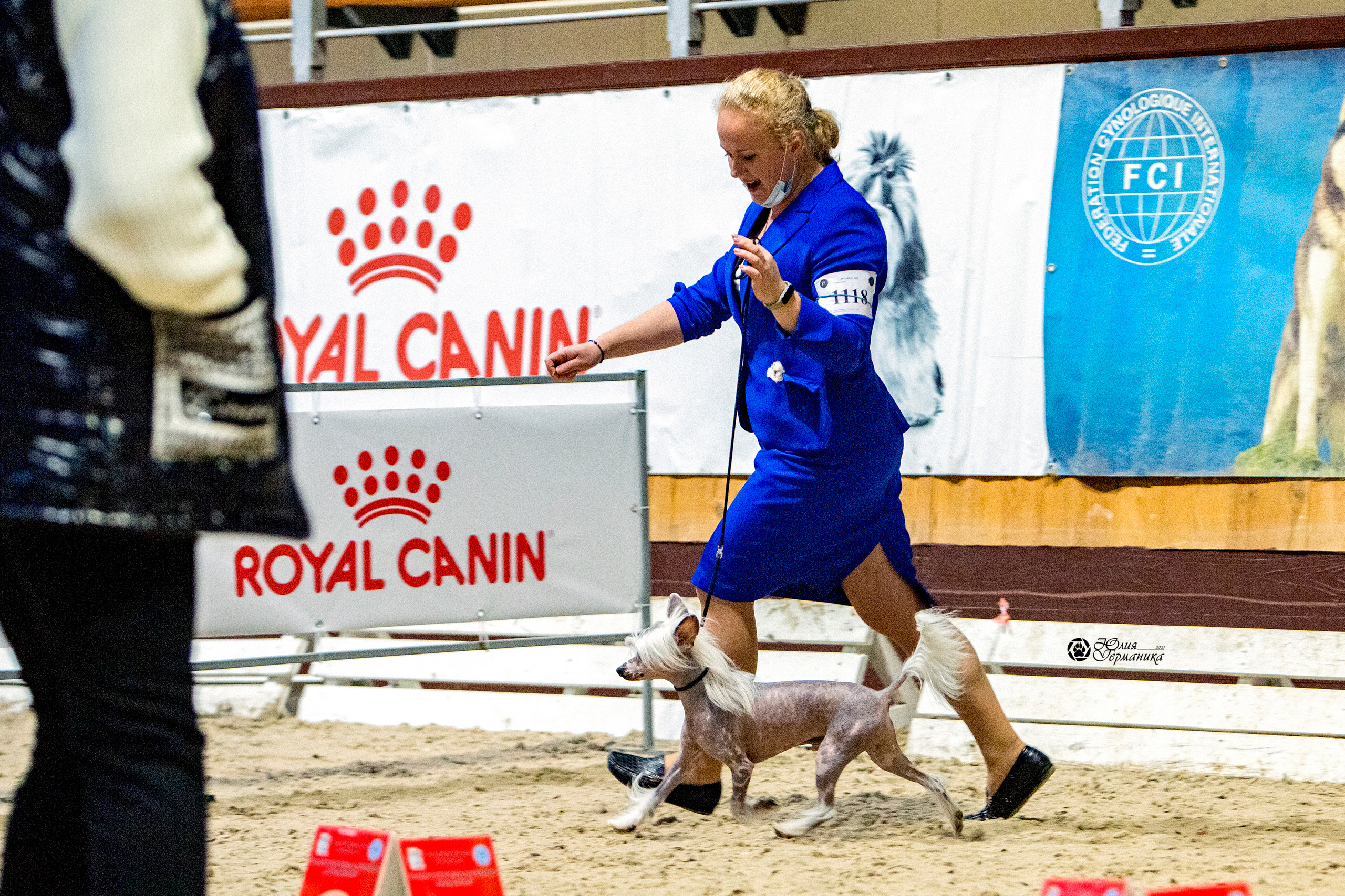 Минск 2хCACIB 27-28 ноября 2021. Фотограф-анималист Юлия Германика