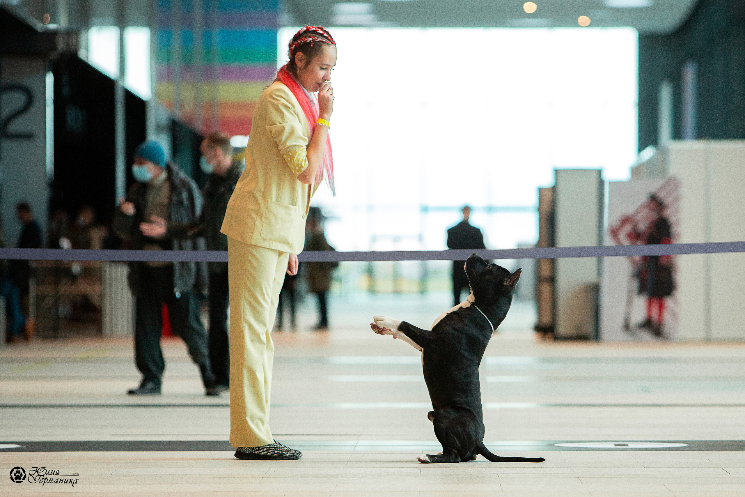 Питер 4 CACIB 22-25 октября 2021. Фотограф-анималист Юлия Германика