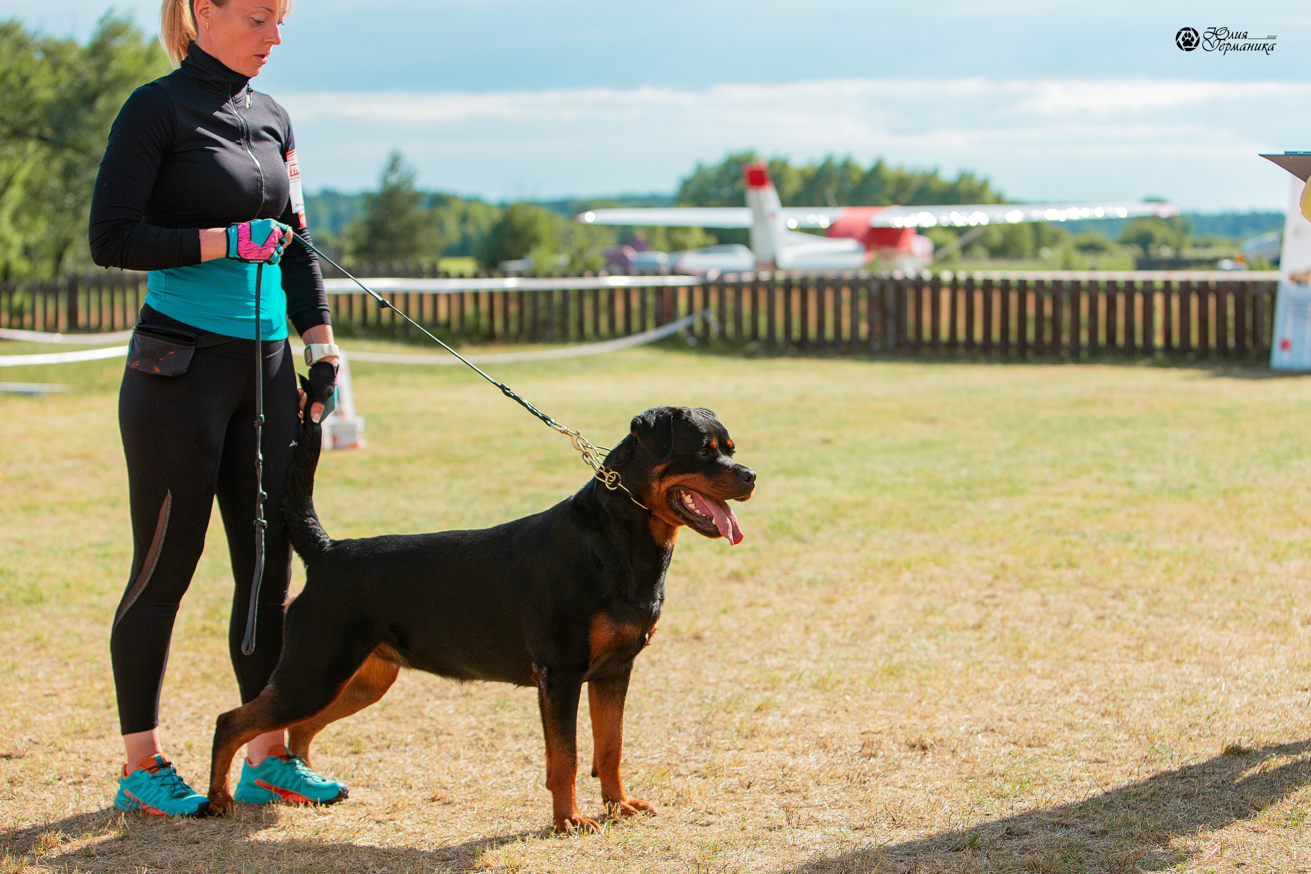 Тверь моно ротвейлеров 3-4 июля 2021. Фотограф-анималист Юлия Германика