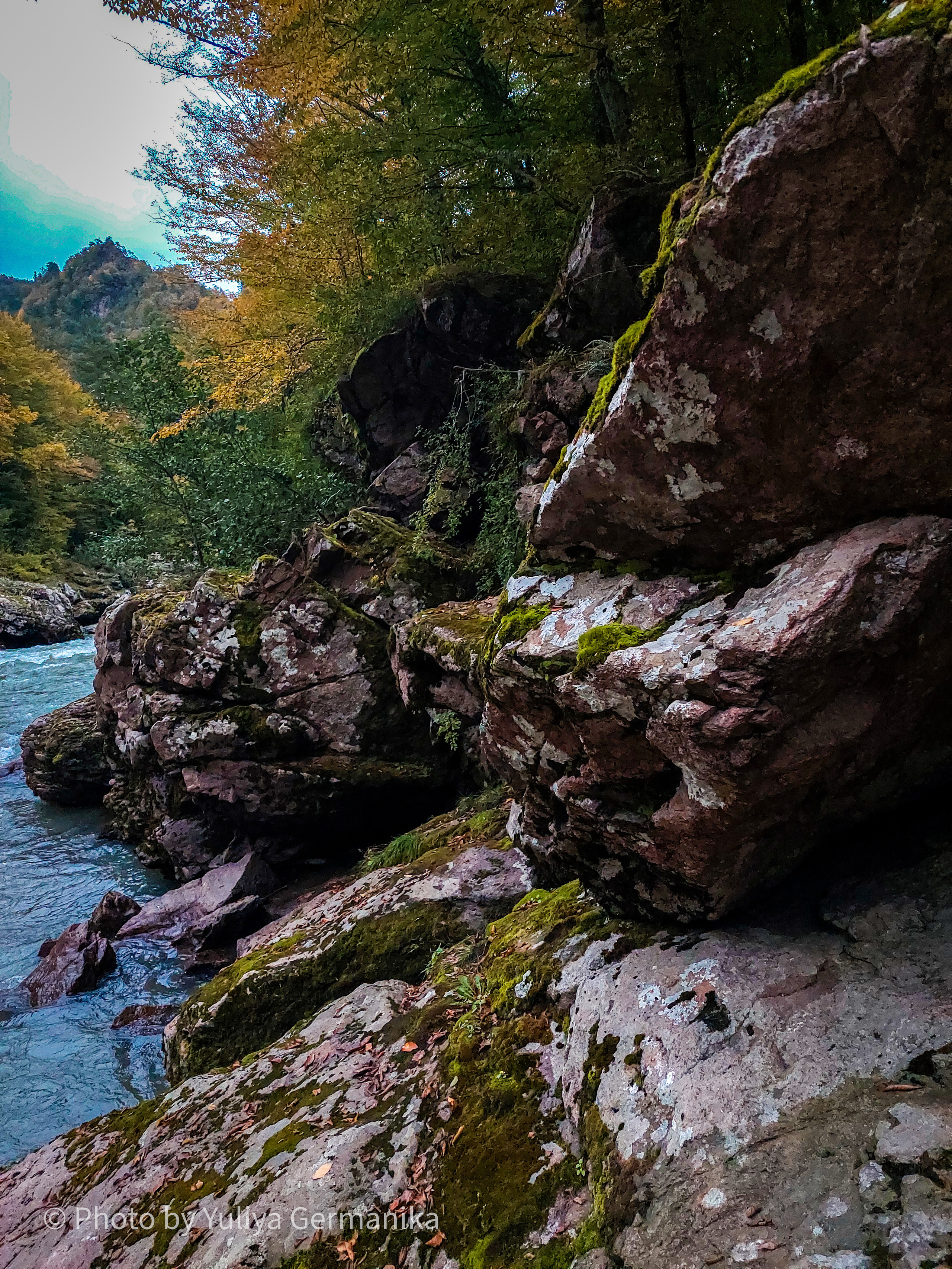 Разные фото на телефон.Города,природа. Фотограф-анималист Юлия Германика