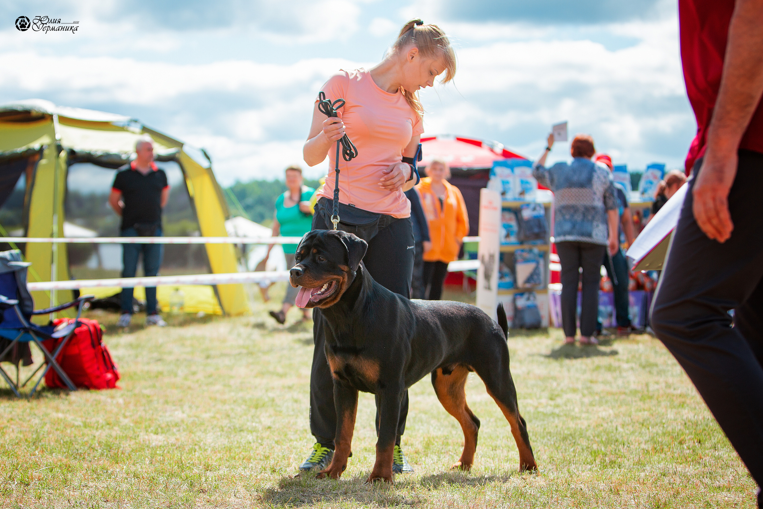 Тверь моно ротвейлеров 3-4 июля 2021. Фотограф-анималист Юлия Германика