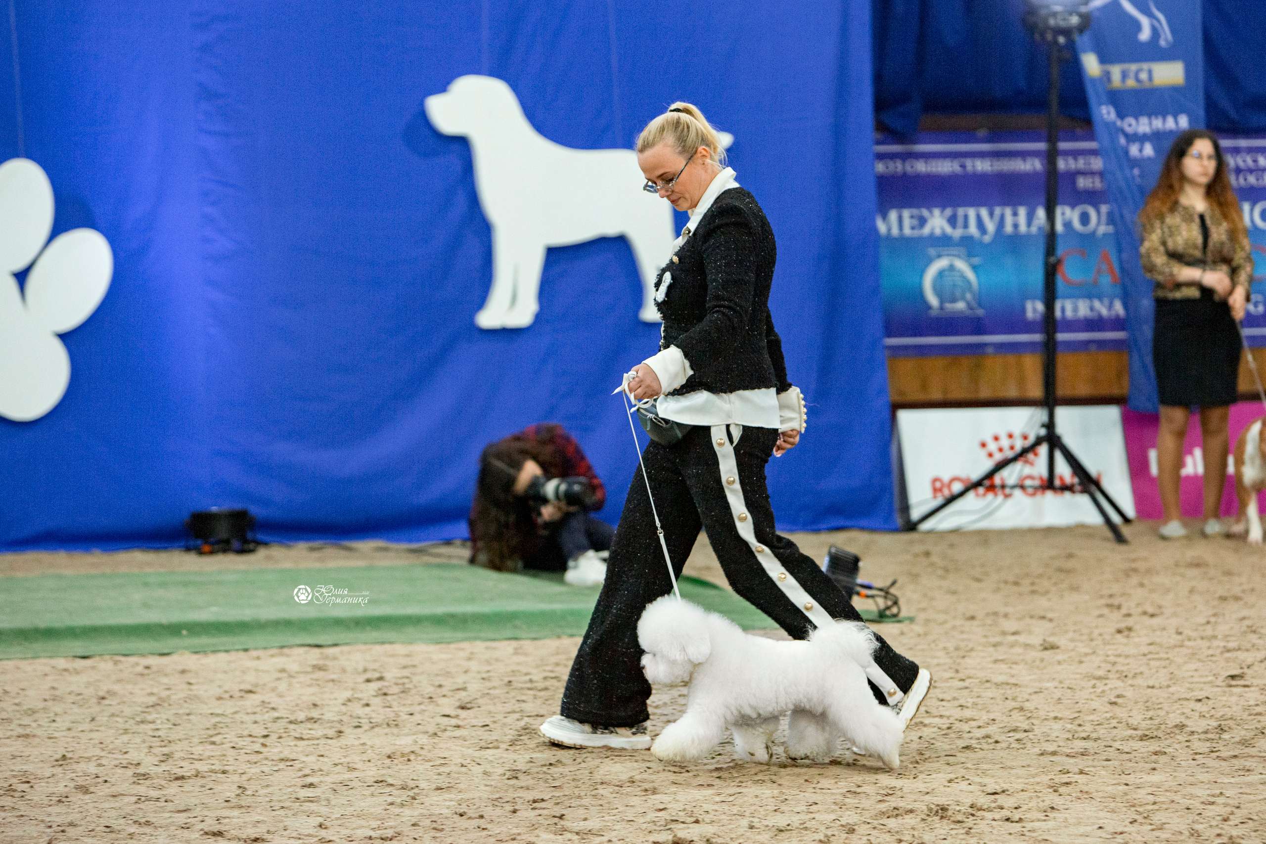 Минск 2хCACIB 27-28 ноября 2021. Фотограф-анималист Юлия Германика