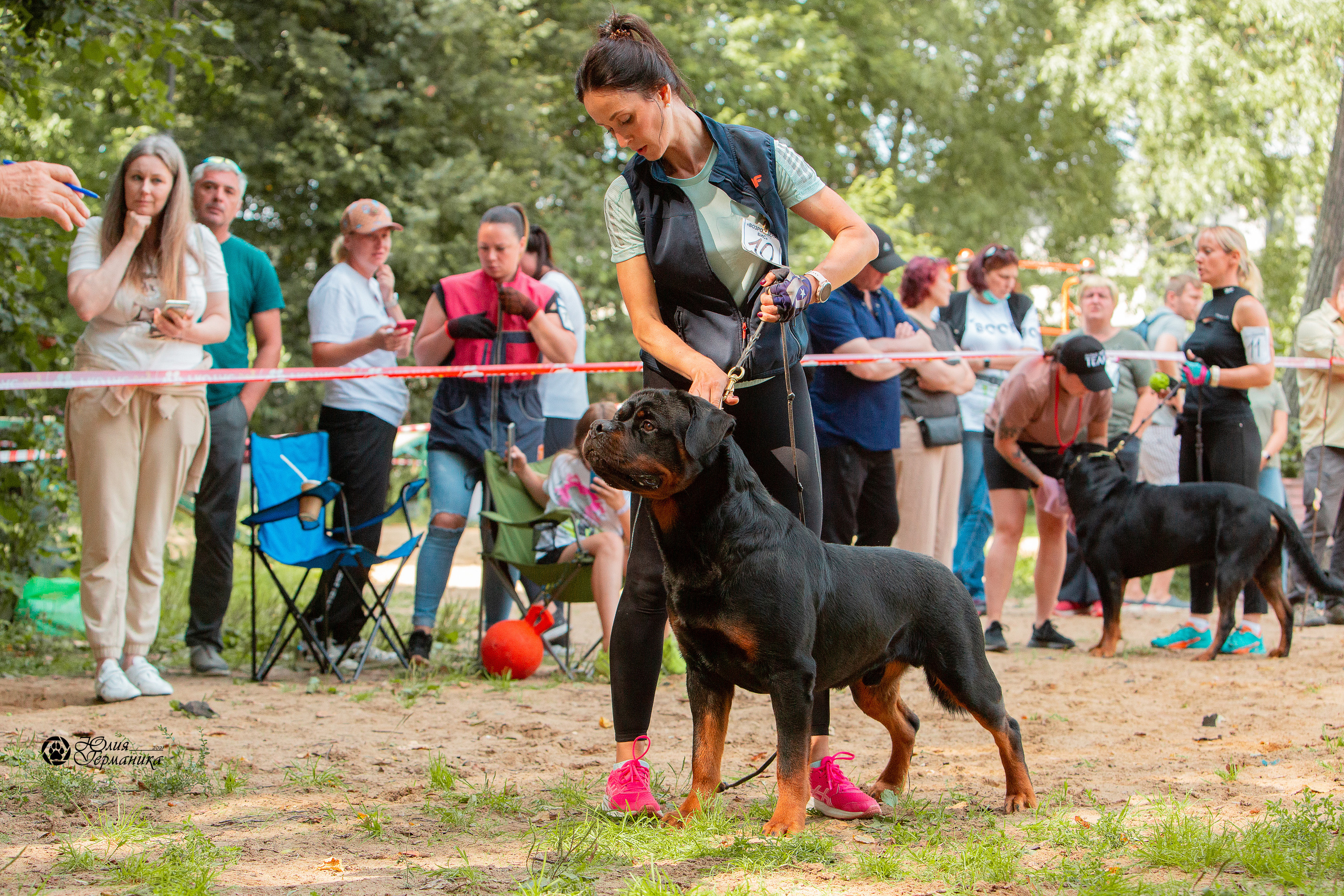 Рязань,Ховрино 14-15 августа 2021 моно ротвейлеров. Фотограф-анималист Юлия Германика
