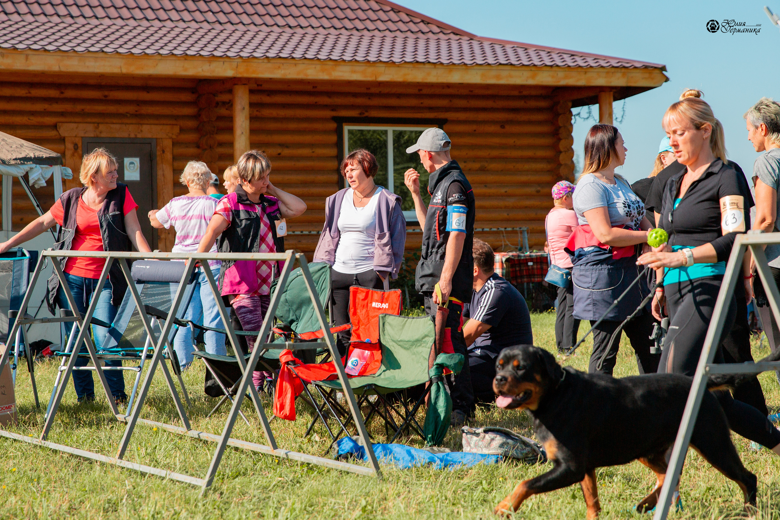 Рязань,Ховрино 14-15 августа 2021 моно ротвейлеров. Фотограф-анималист Юлия Германика