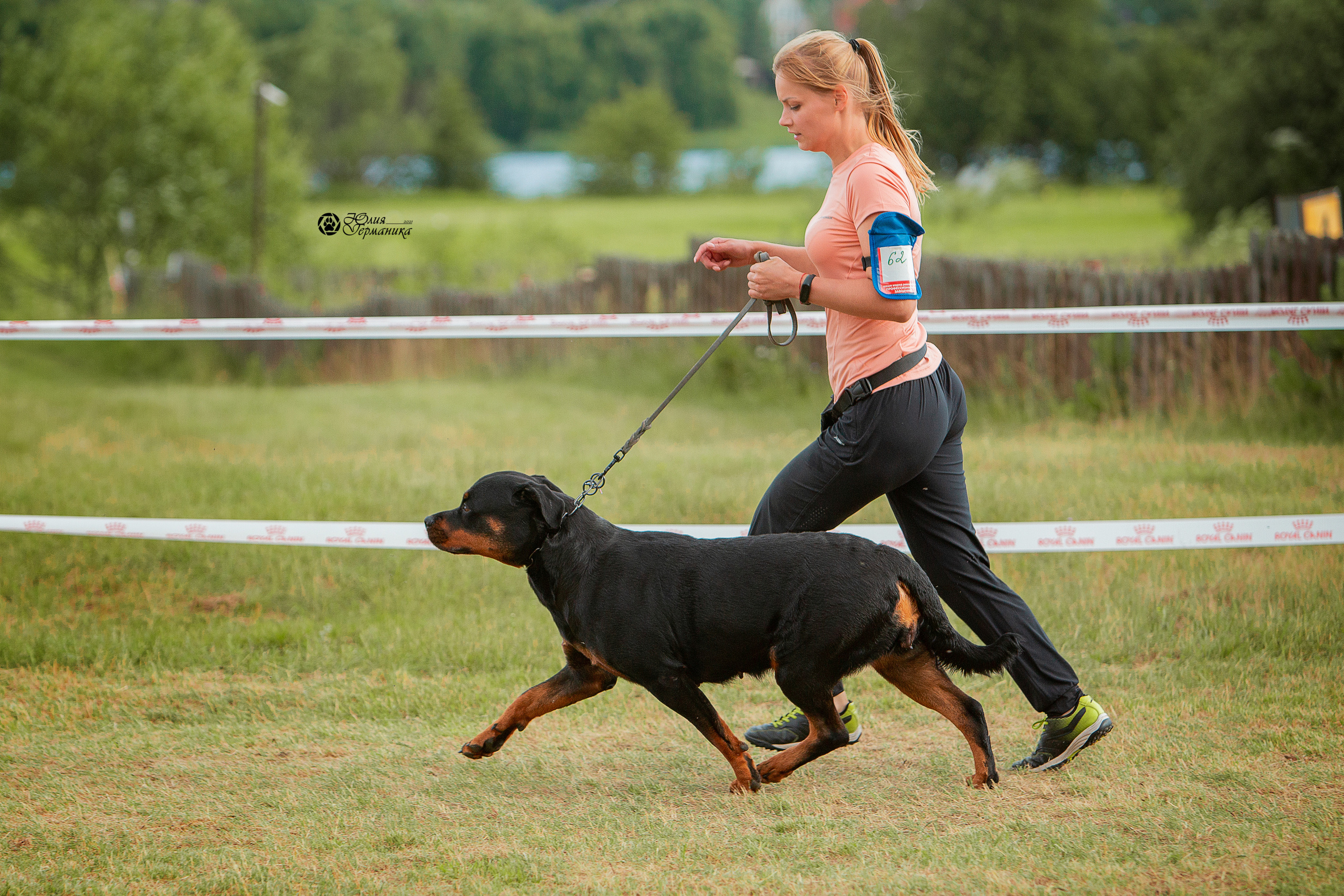 Тверь моно ротвейлеров 3-4 июля 2021. Фотограф-анималист Юлия Германика
