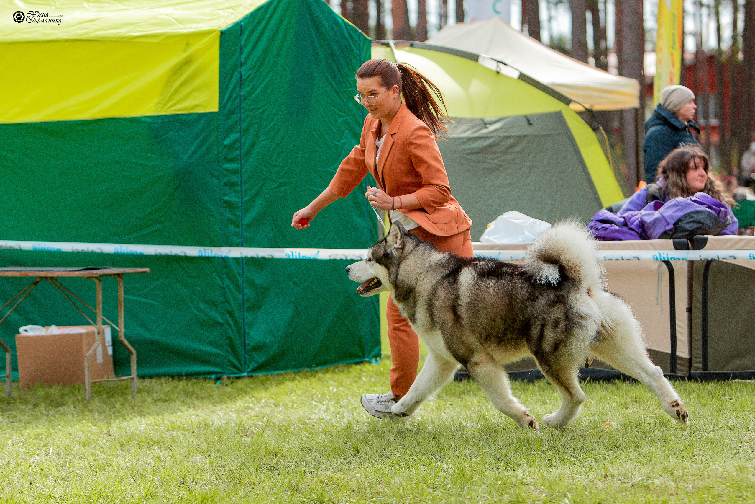 Псков 2xСАСIB 18-19 сентября 2021. Фотограф-анималист Юлия Германика