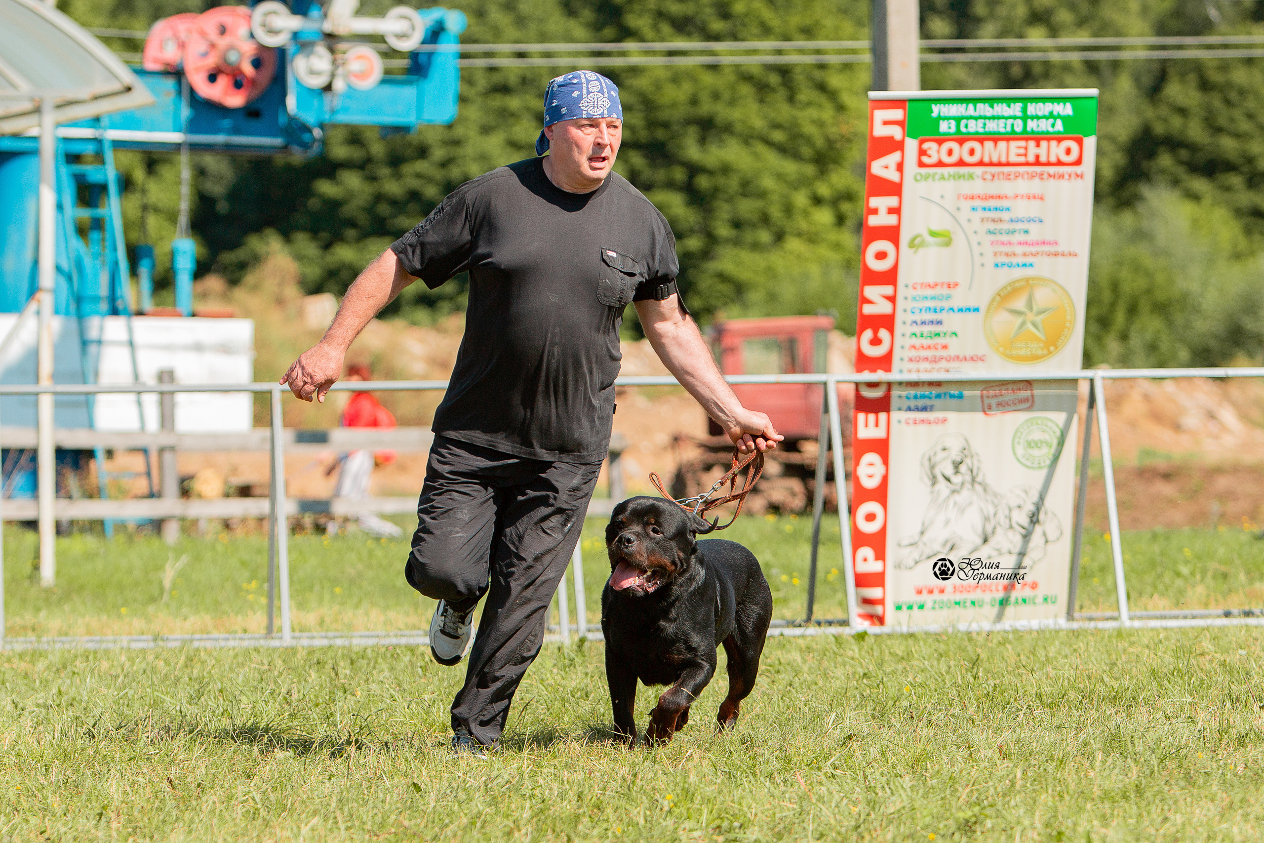 Рязань,Ховрино 14-15 августа 2021 моно ротвейлеров. Фотограф-анималист Юлия Германика