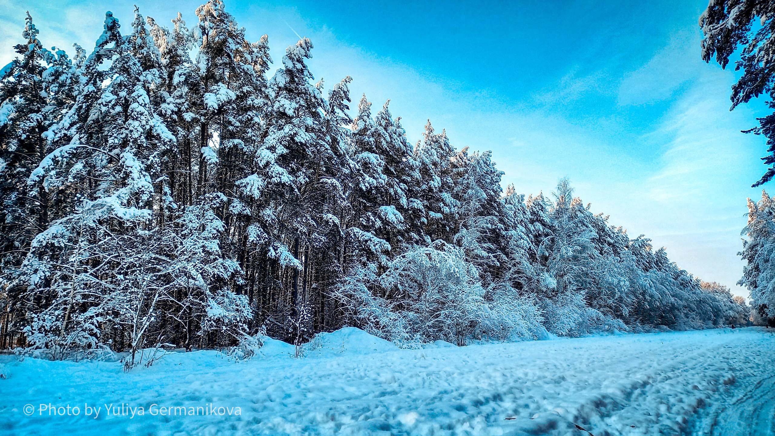 Разные фото на телефон.Города,природа. Фотограф-анималист Юлия Германика