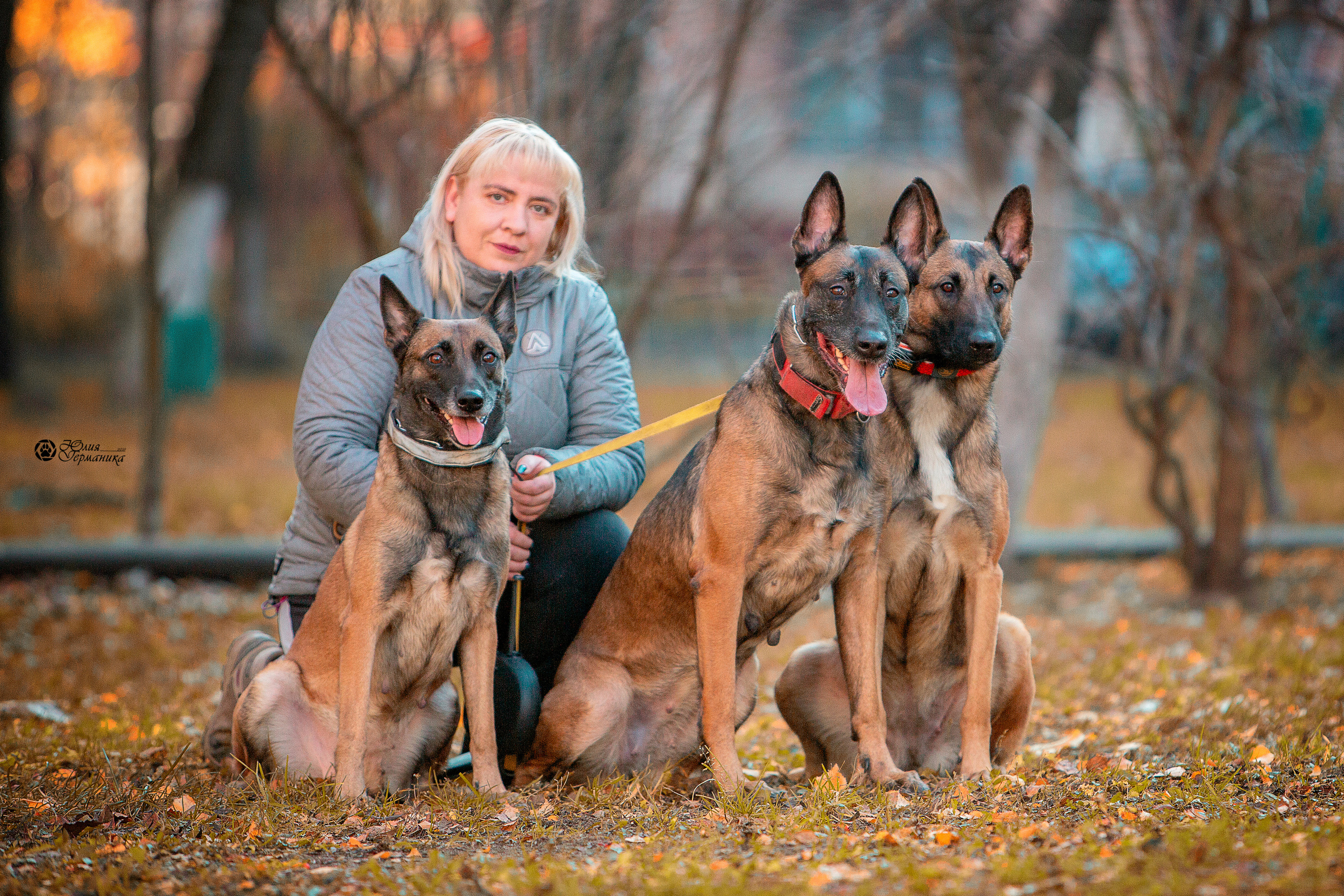 Свободная съемка. Фотограф-анималист Юлия Германика