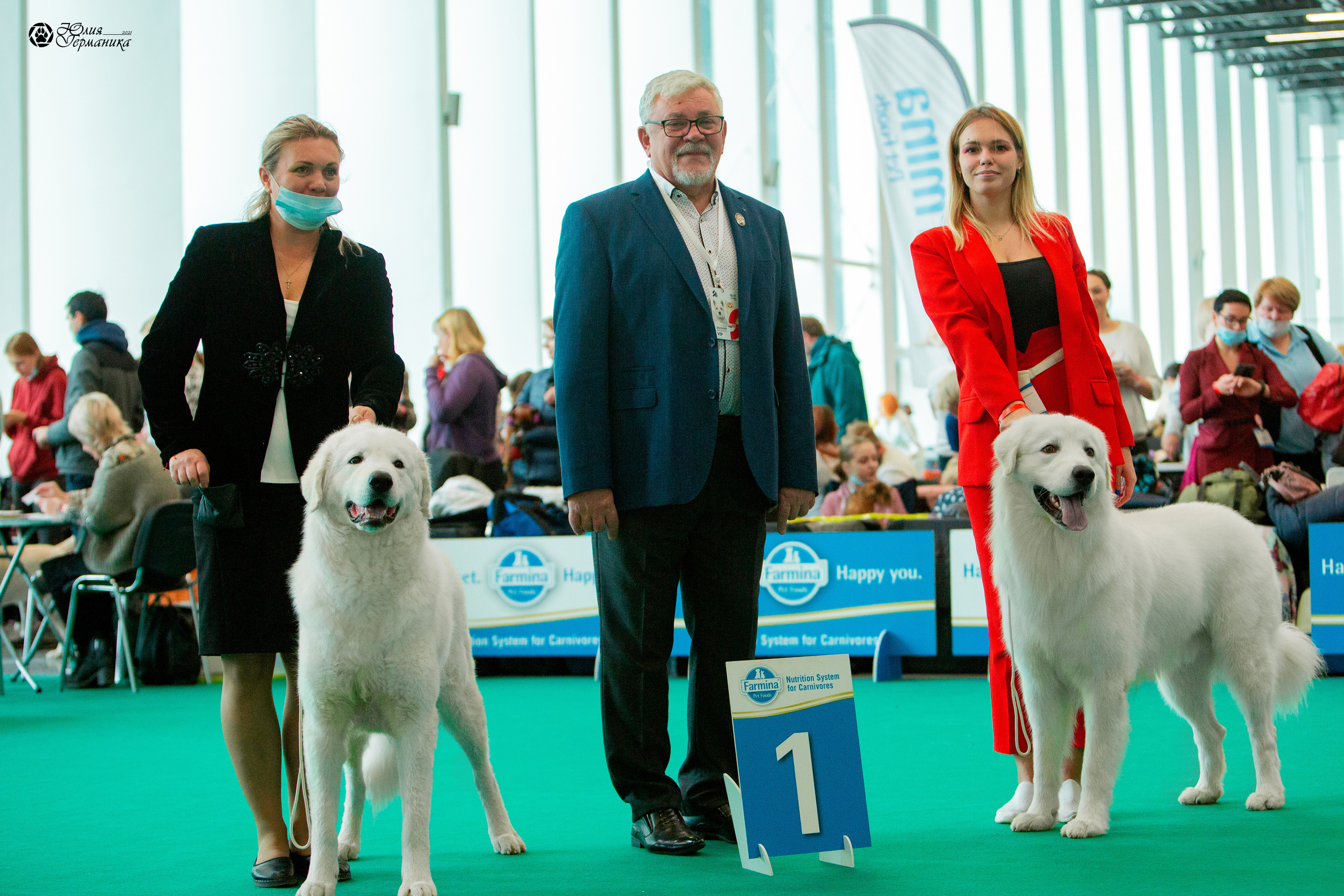 Нижний Новгород 3хCACIB 15-17 октября 2021. Фотограф-анималист Юлия Германика