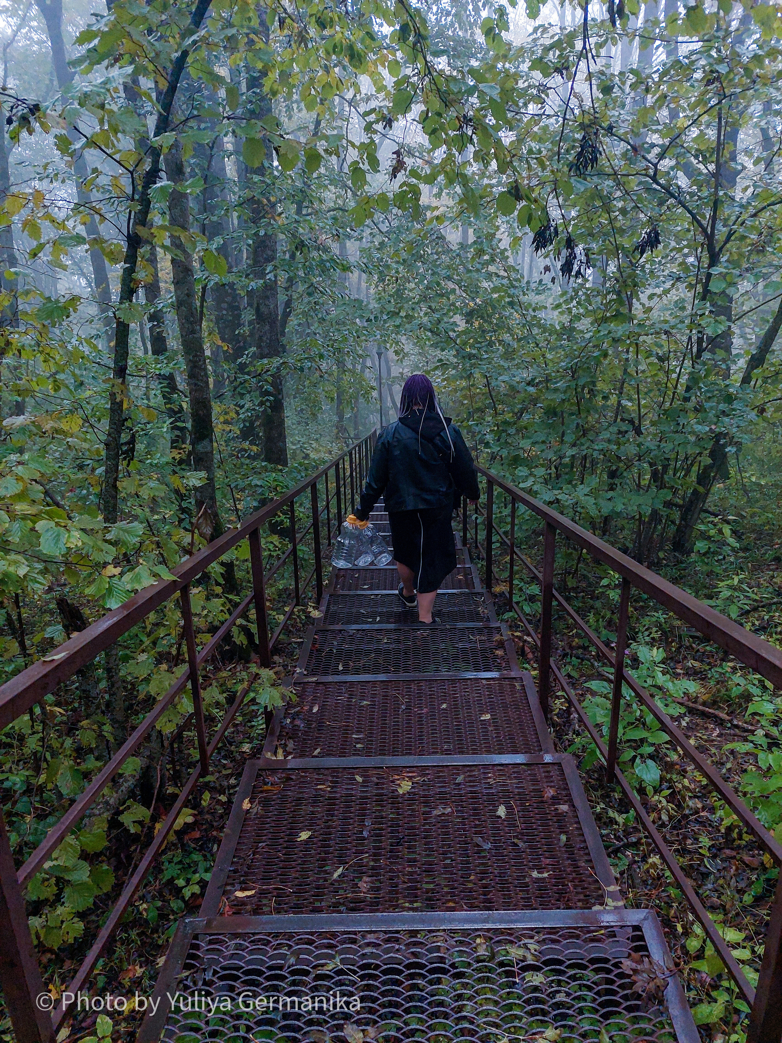 Разные фото на телефон.Города,природа. Фотограф-анималист Юлия Германика