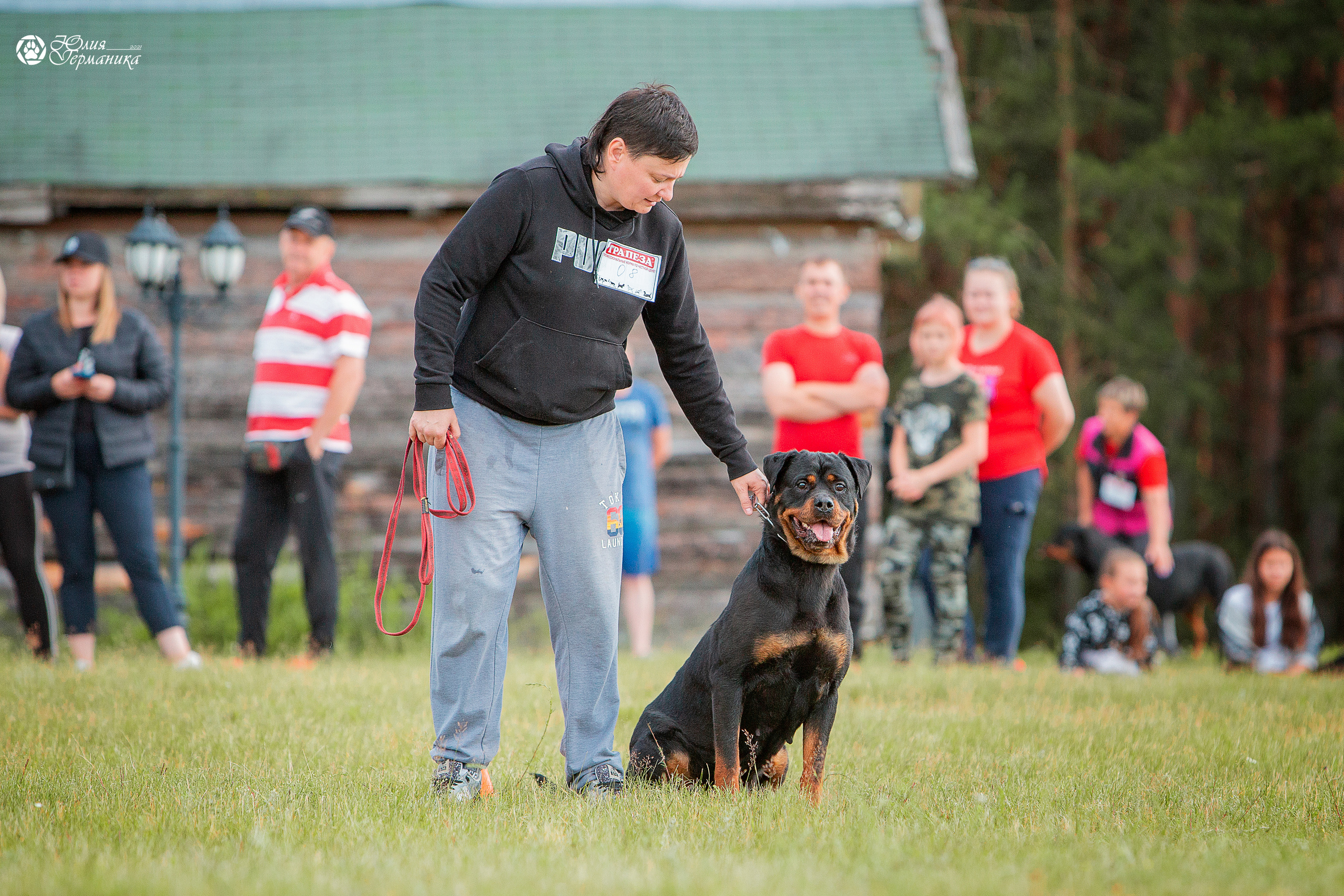 Тверь моно ротвейлеров 3-4 июля 2021. Фотограф-анималист Юлия Германика