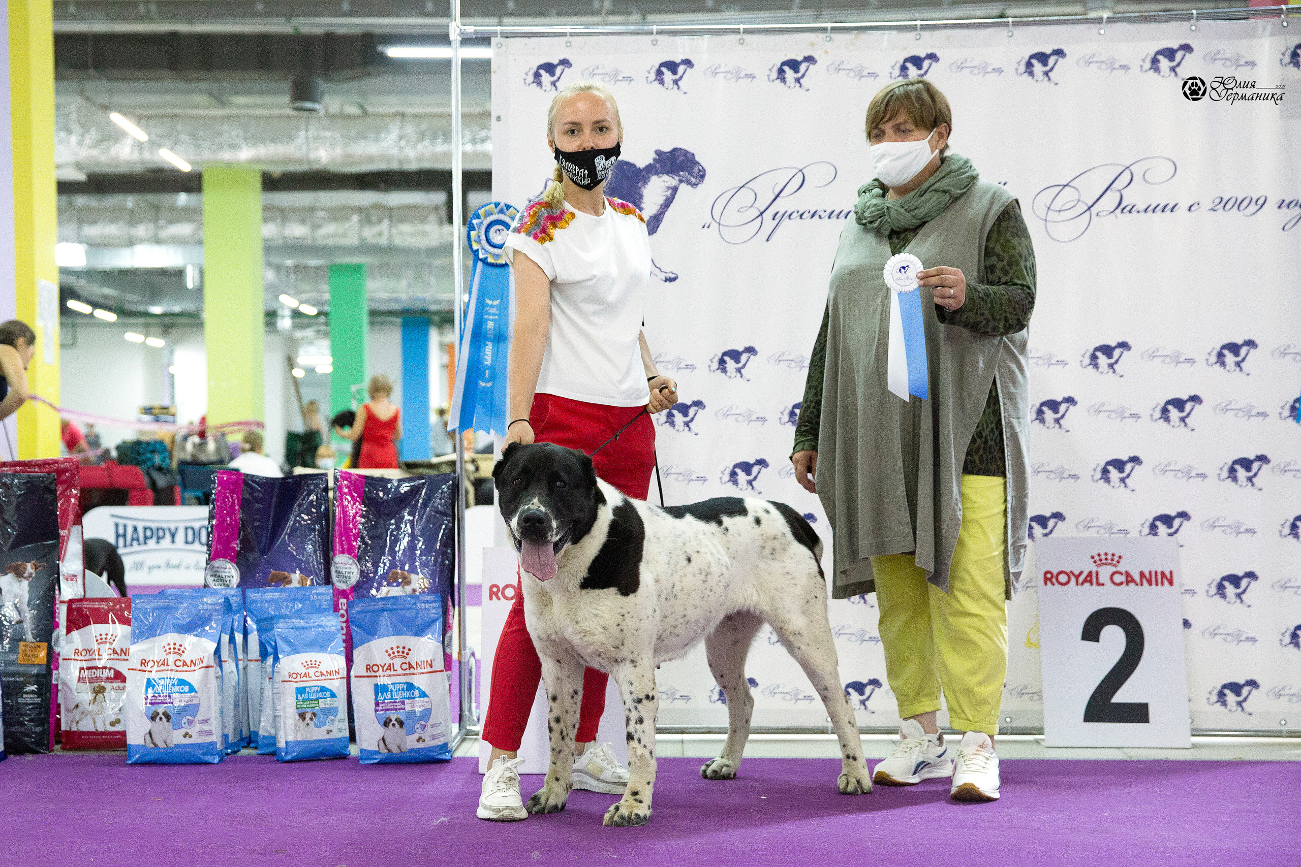 Чайна-Таун 2021. Фотограф-анималист Юлия Германика