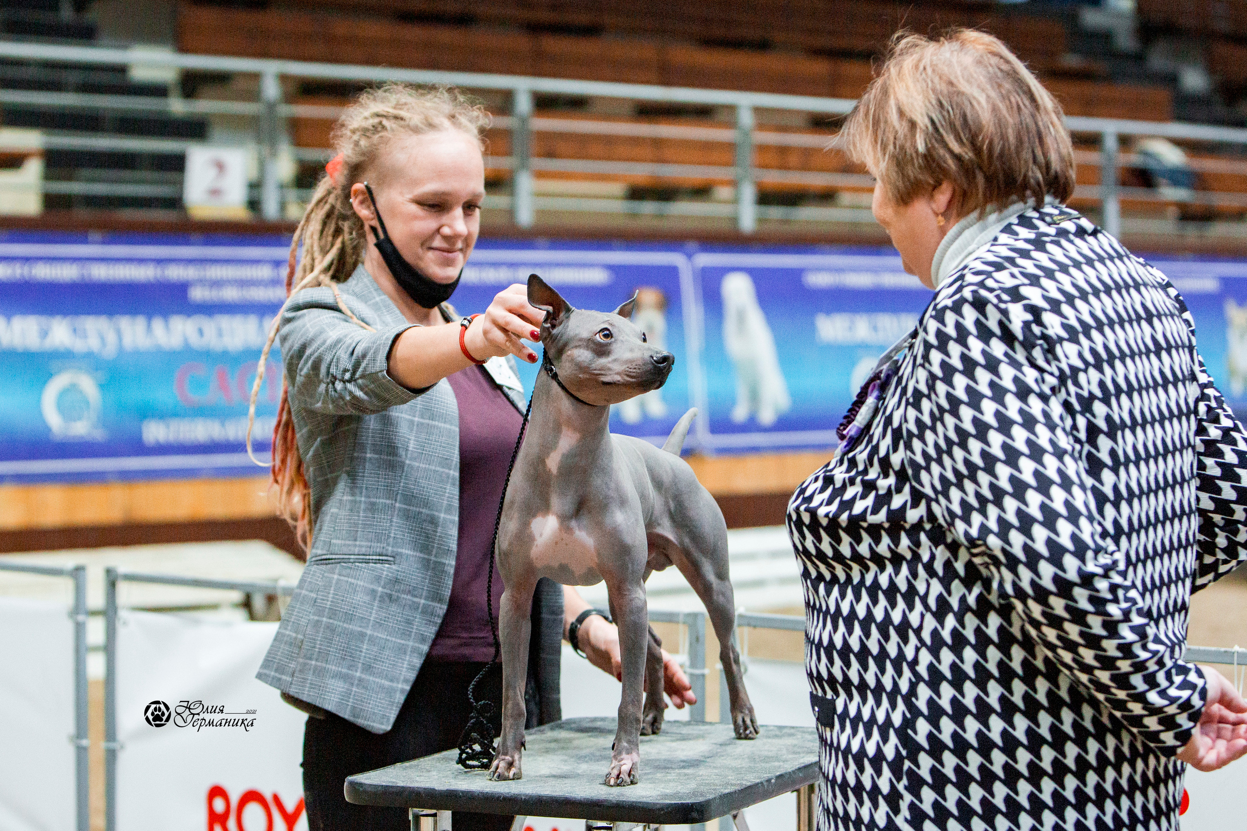 Минск 2хCACIB 27-28 ноября 2021. Фотограф-анималист Юлия Германика