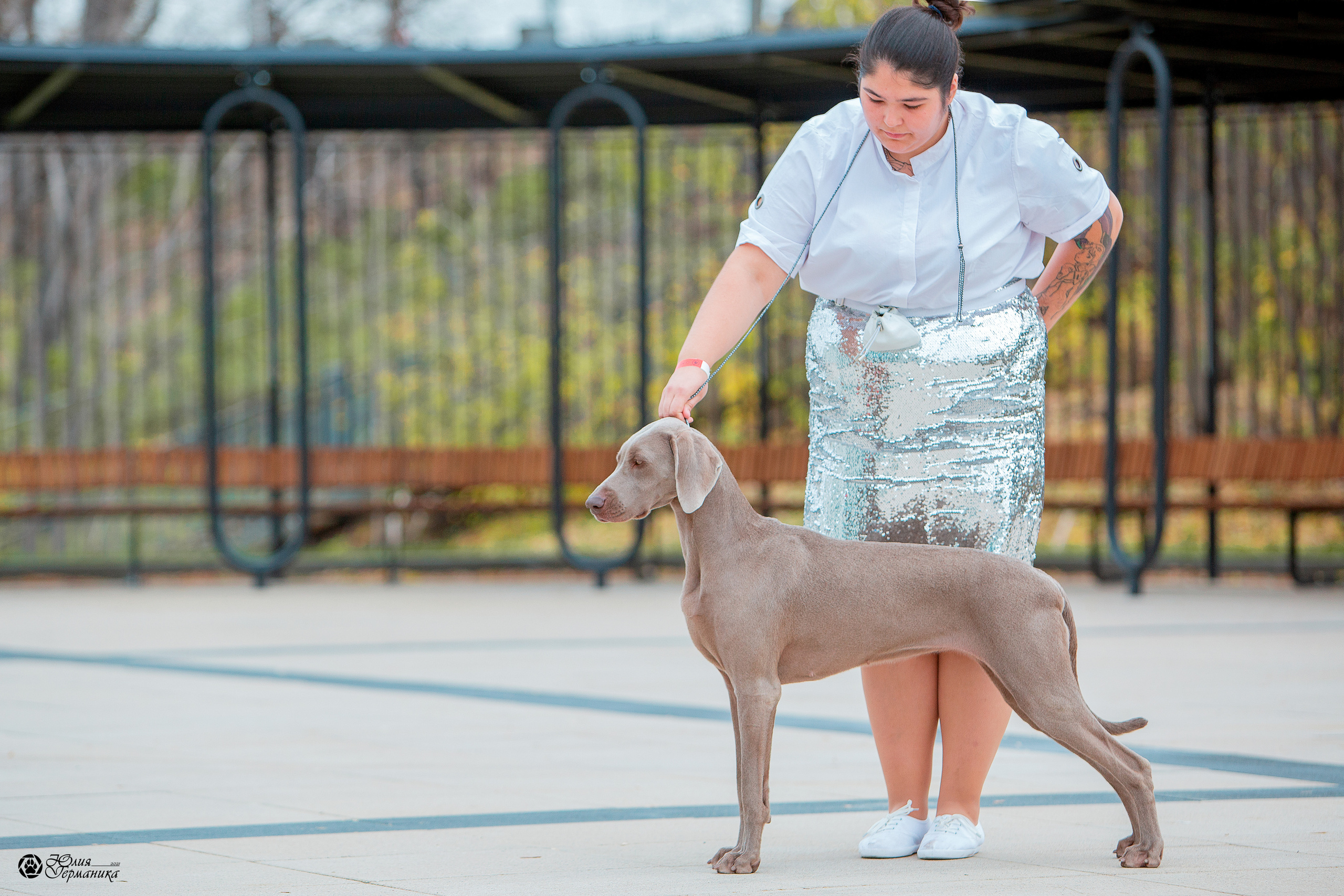 Нижний Новгород 3хCACIB 15-17 октября 2021. Фотограф-анималист Юлия Германика