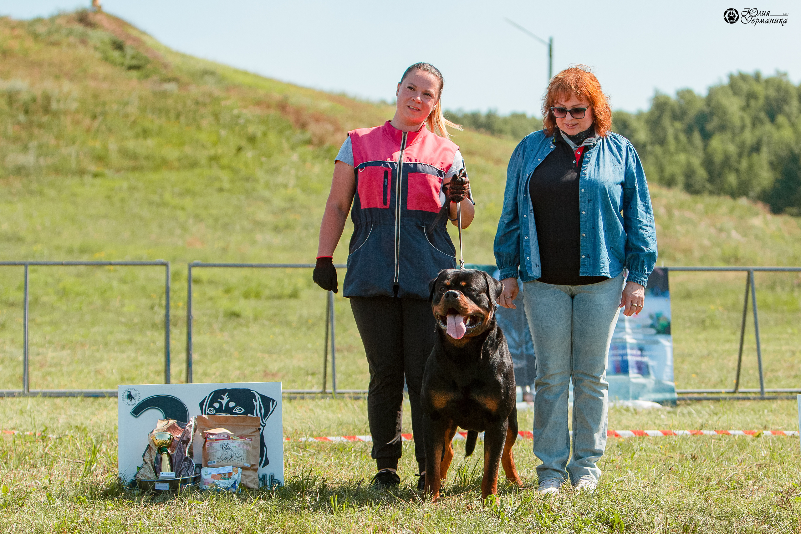 Рязань,Ховрино 14-15 августа 2021 моно ротвейлеров. Фотограф-анималист Юлия Германика