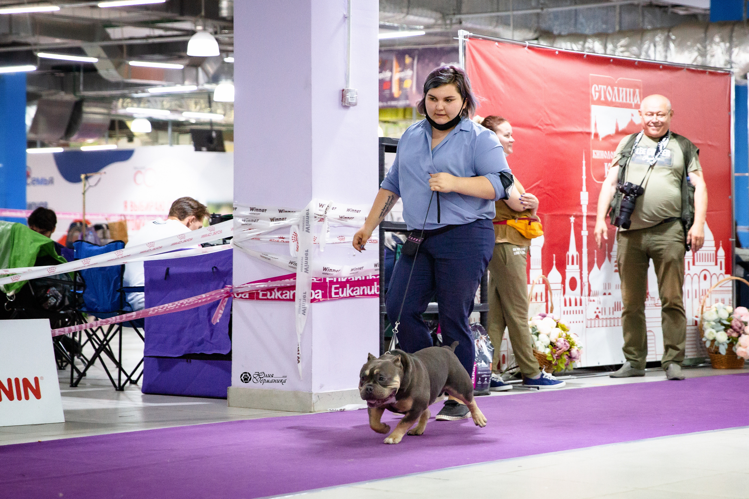 Чайна-Таун 2021. Фотограф-анималист Юлия Германика