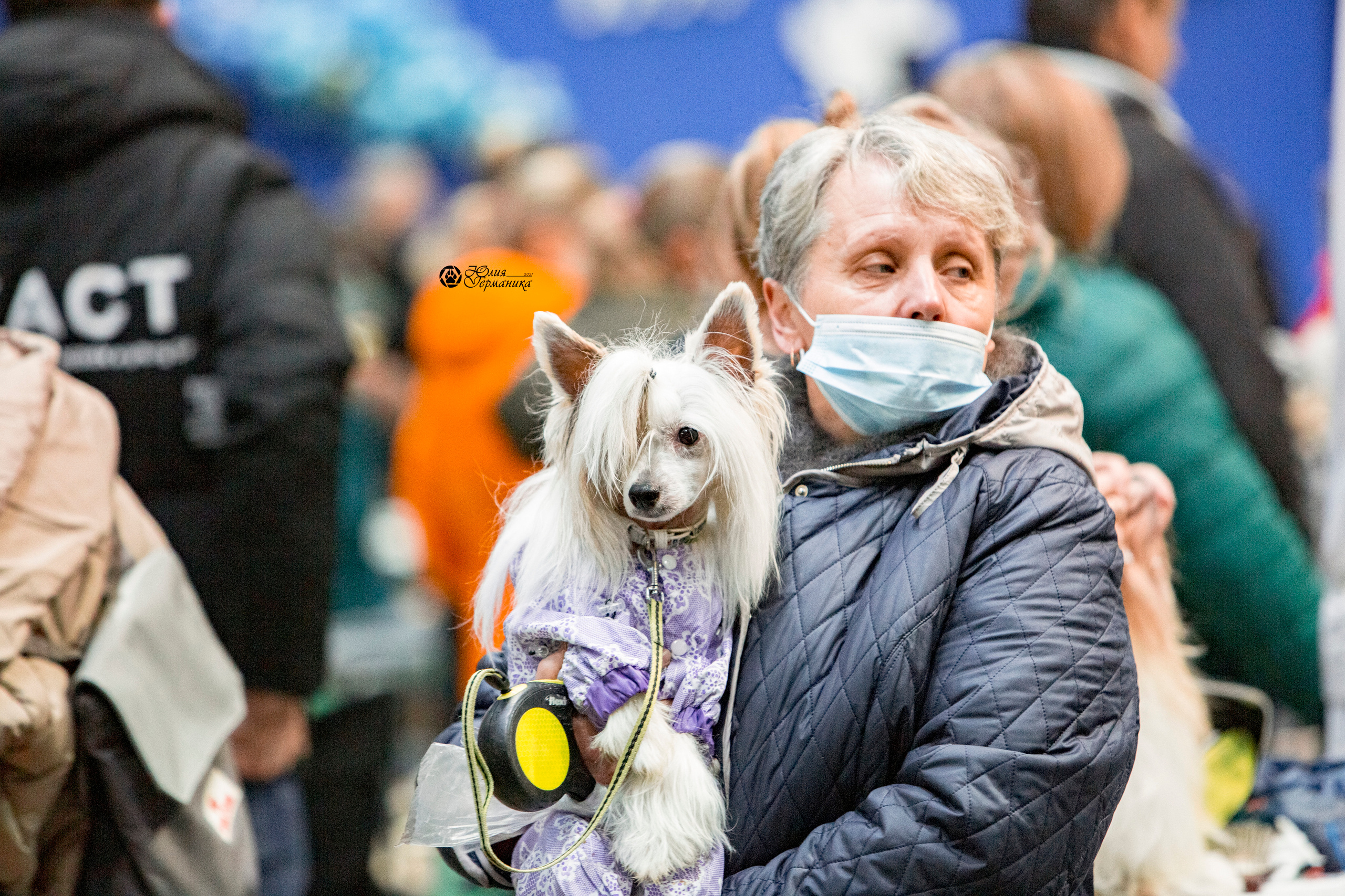Минск 2хCACIB 27-28 ноября 2021. Фотограф-анималист Юлия Германика